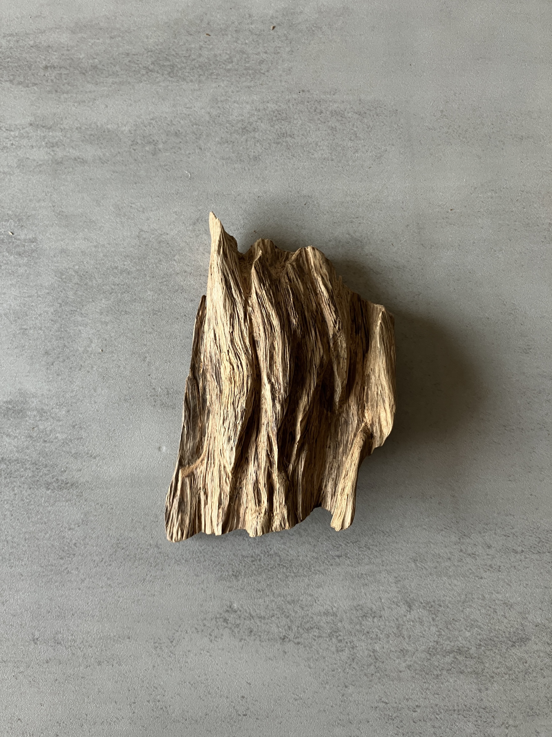 image_E891AD23-33B2-45B5-B447-DD3281DF61BB_1774334323