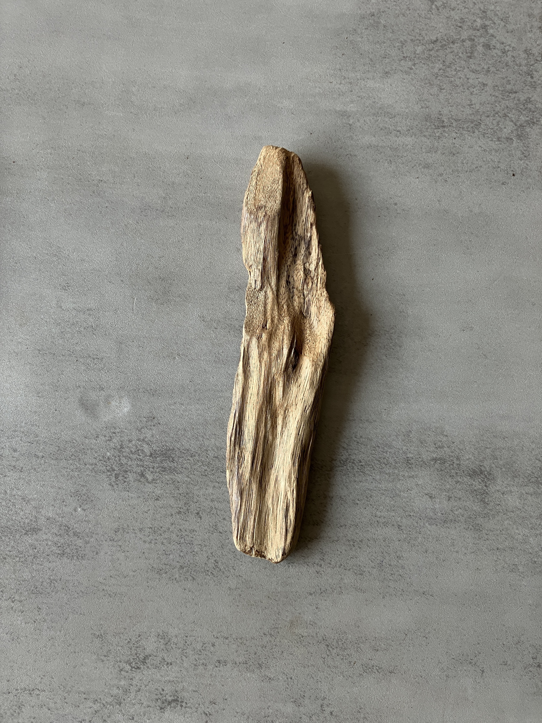 image_C9E526E3-493D-4667-BE38-950FC5402173_1774334432