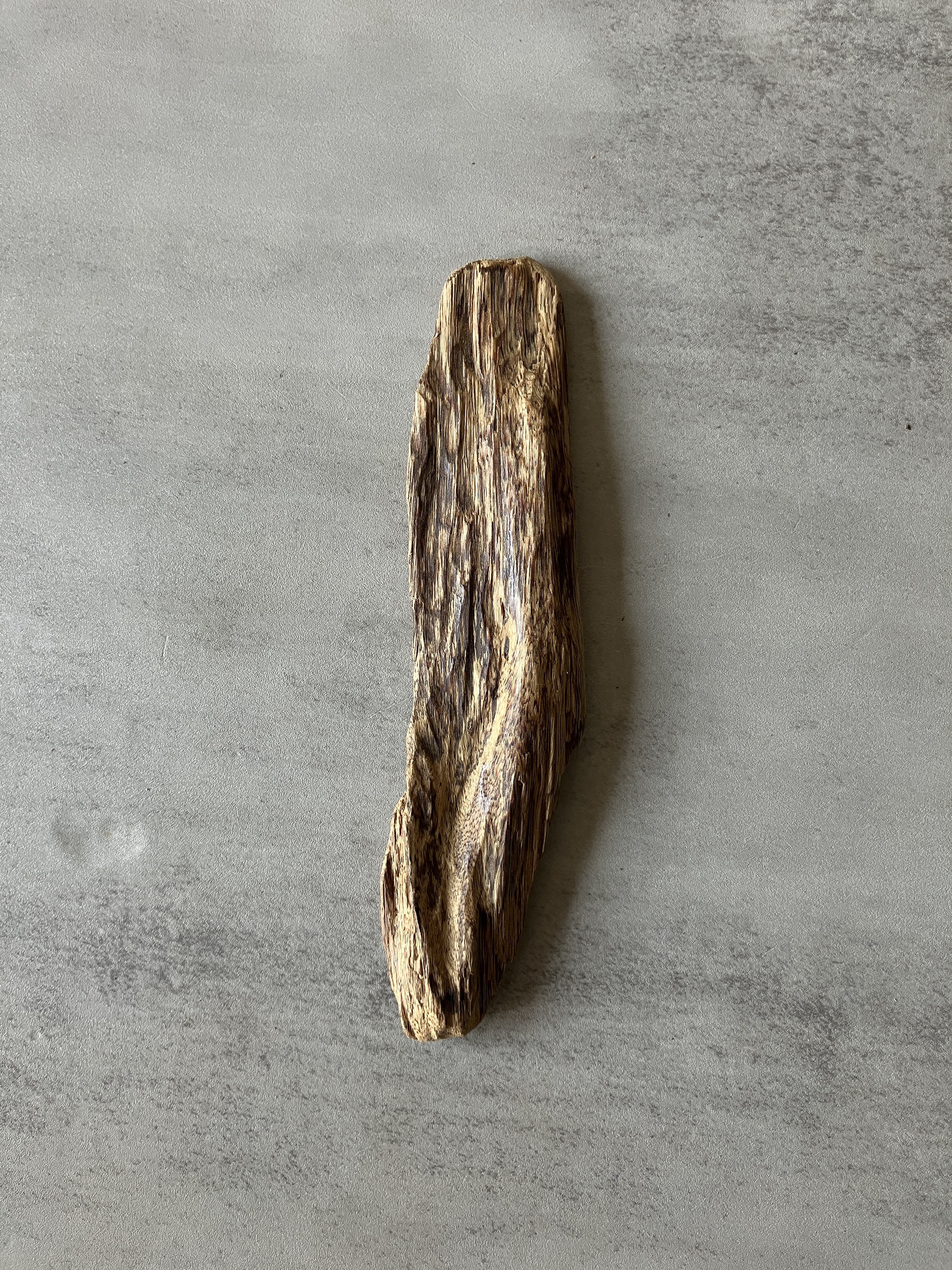 image_40DD6094-ED40-4F7C-A826-F88337D53A59_1774334432