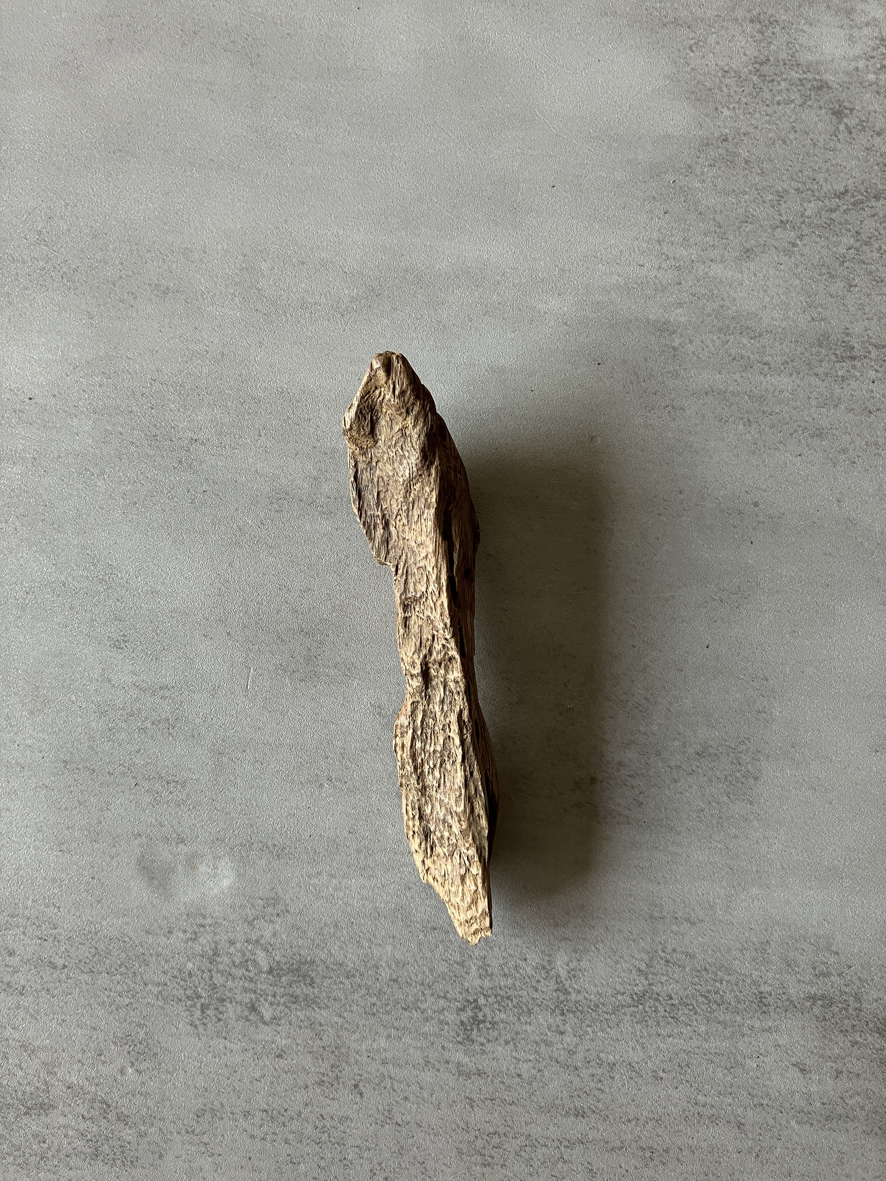 image_2AA4FCA1-C1DA-4BDF-B41F-A0B6433FE622_1774334535