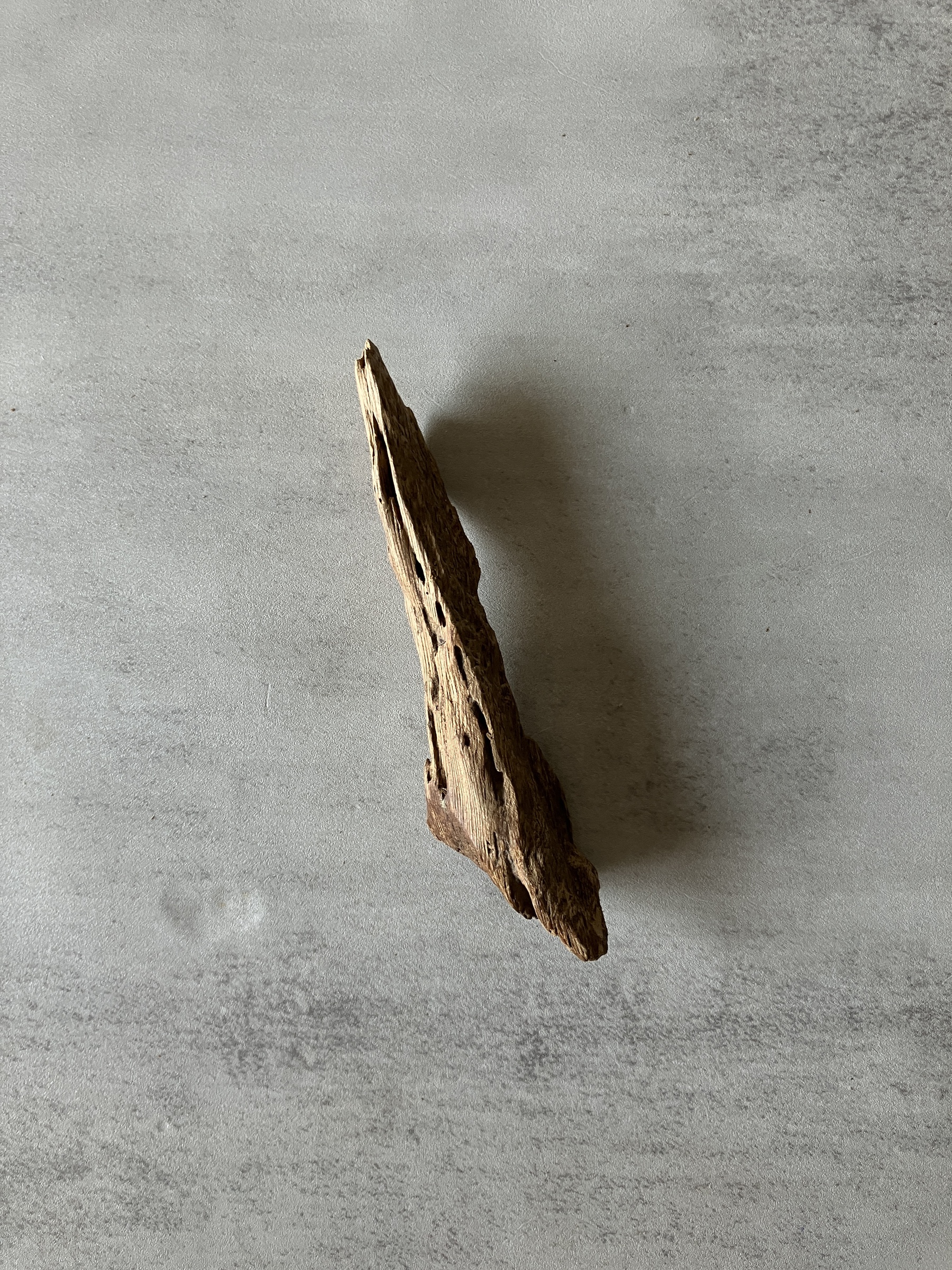 image_BEE4456F-A232-4813-AB66-DCD705A8B1C0_1774334535