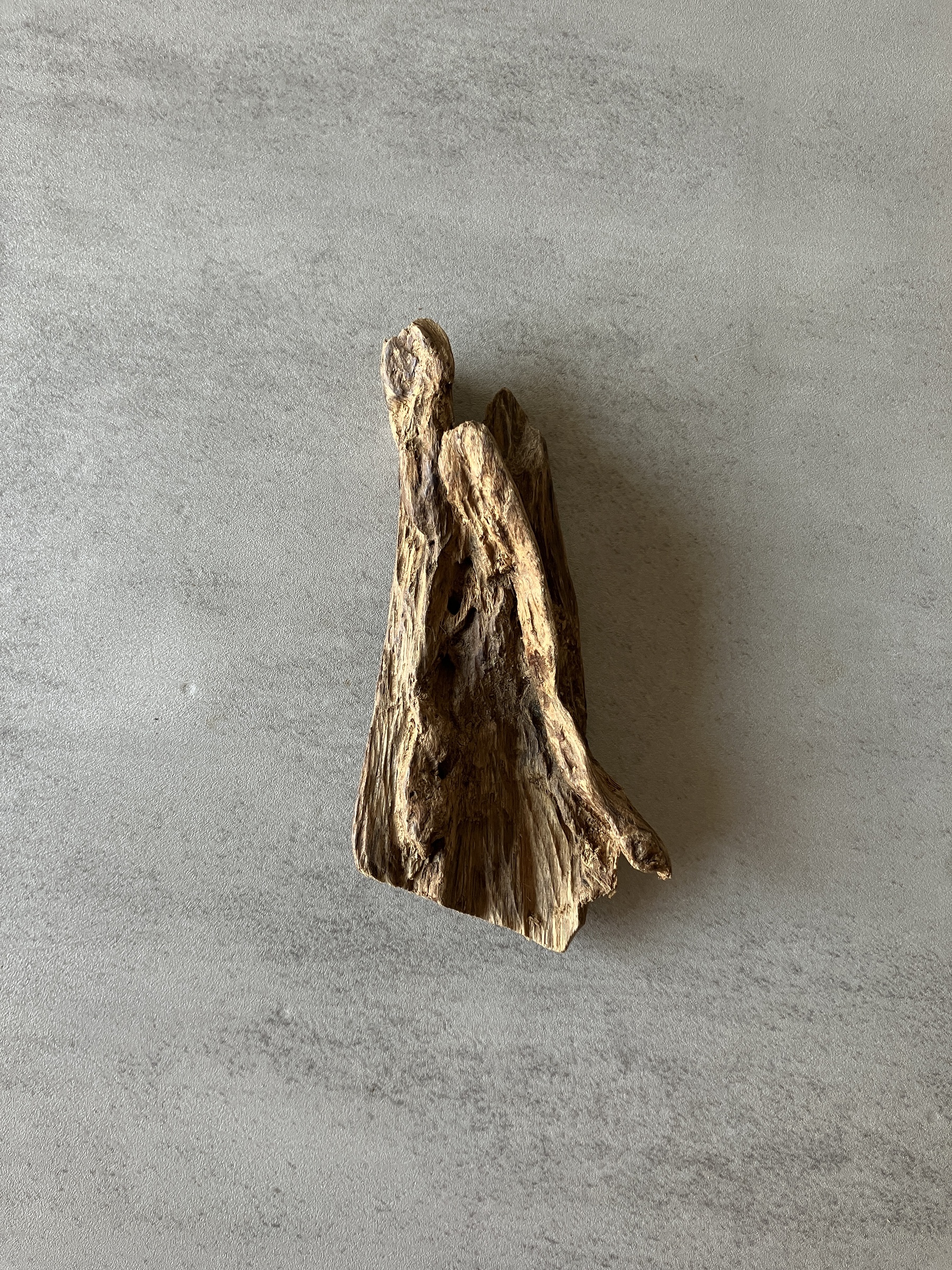 image_A06C4459-EEF6-41C5-870E-019E340E6DC8_1774334742