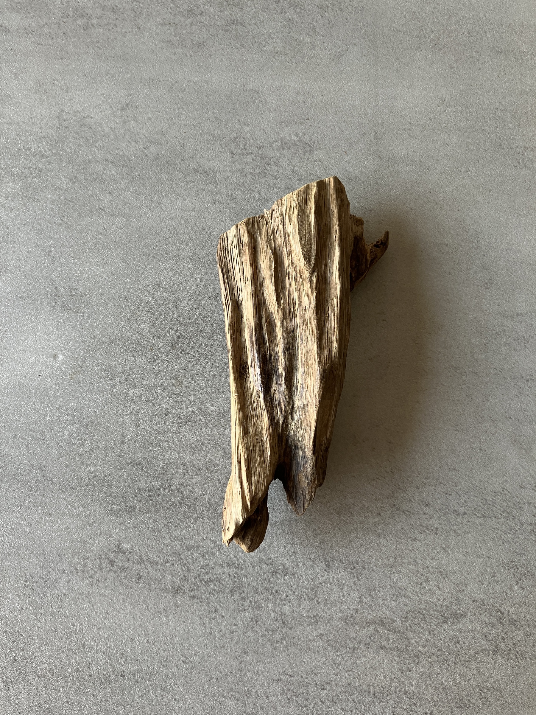 image_A4F21D51-2A7F-4795-960C-C5A8F028C11D_1774334743