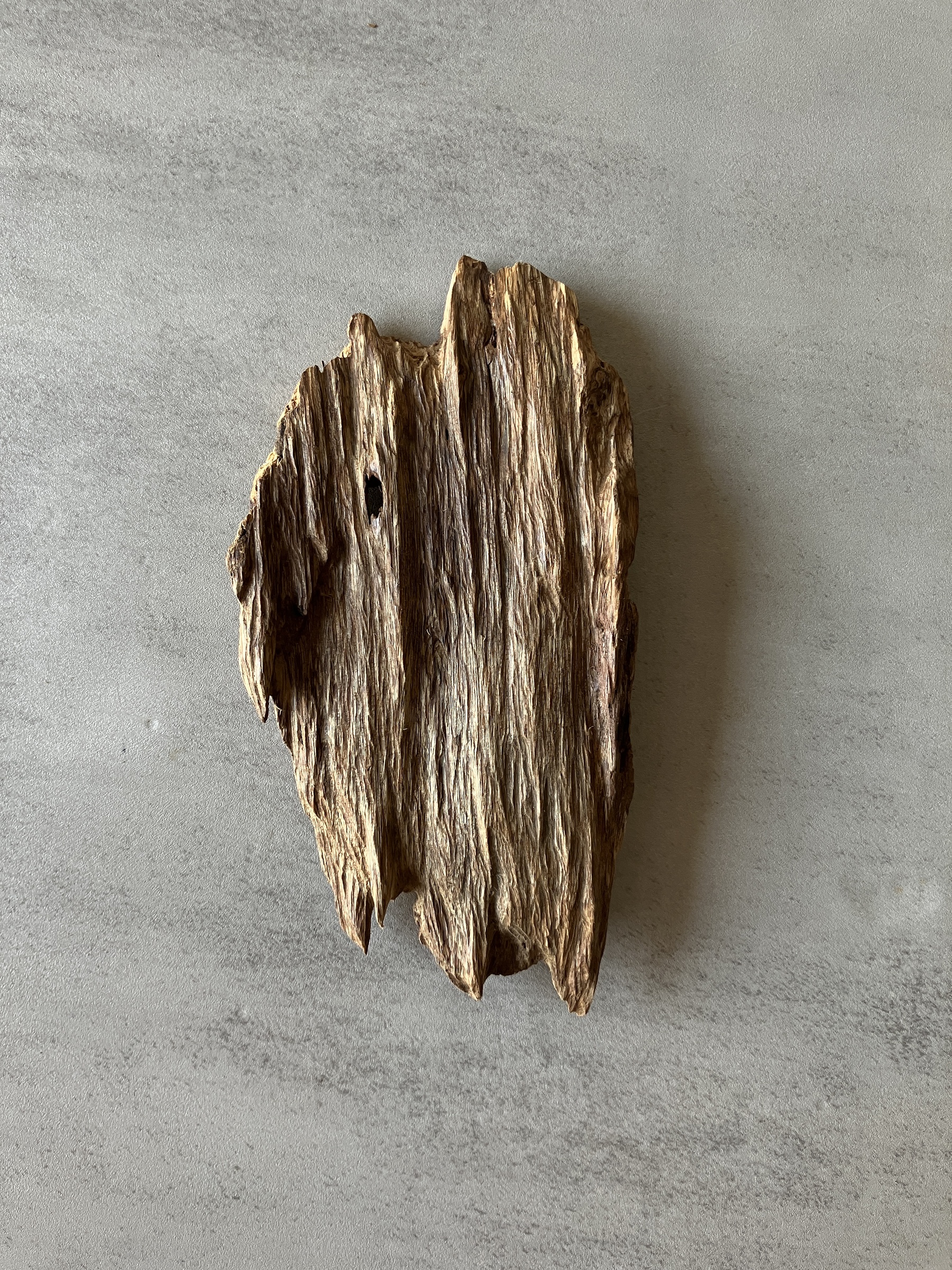 image_D362CF37-6AF8-4F92-980C-234C13688F33_1774334895