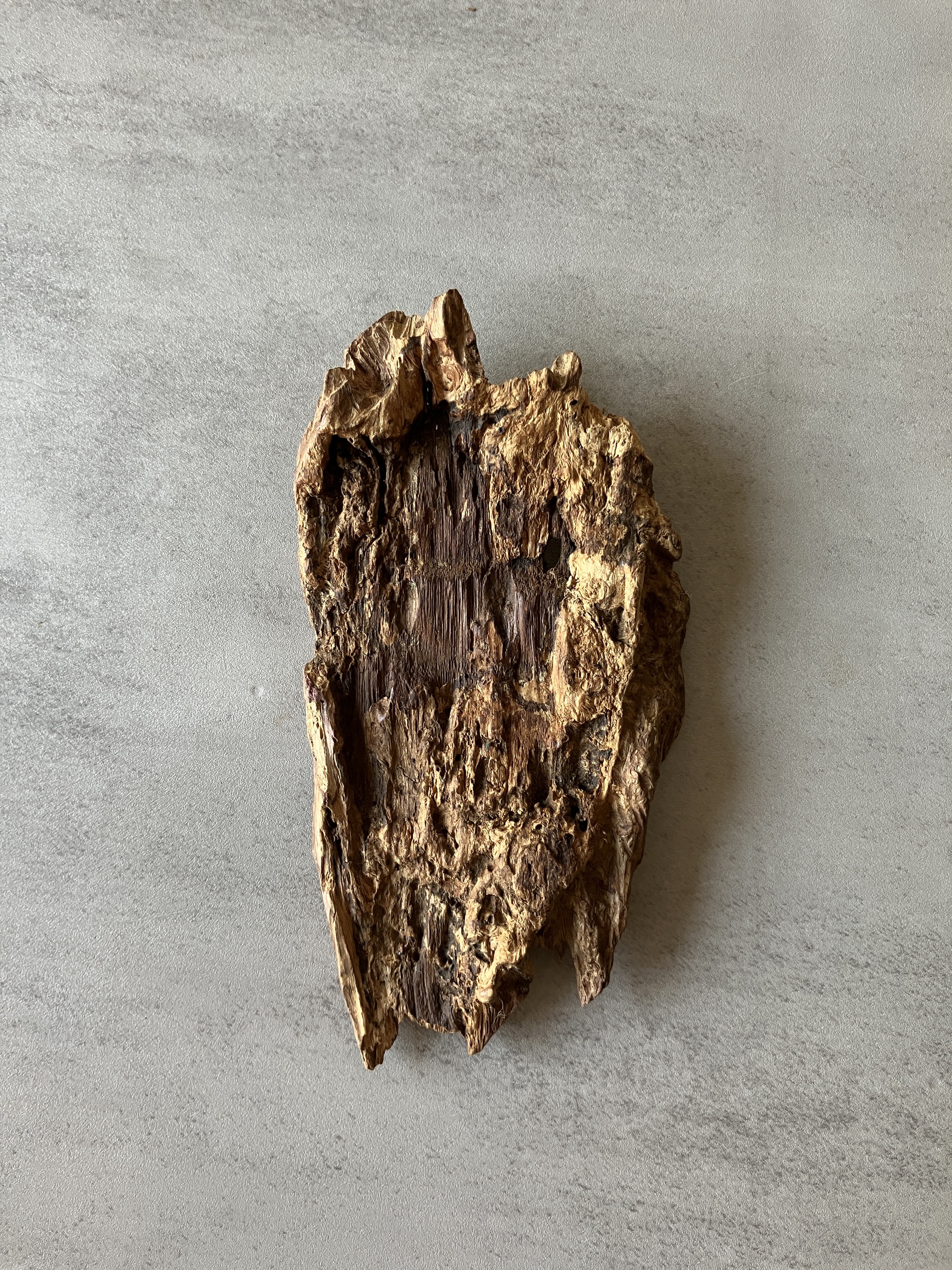 image_81F23597-DD49-4849-A2F0-5D64BDA5AFC0_1774335074