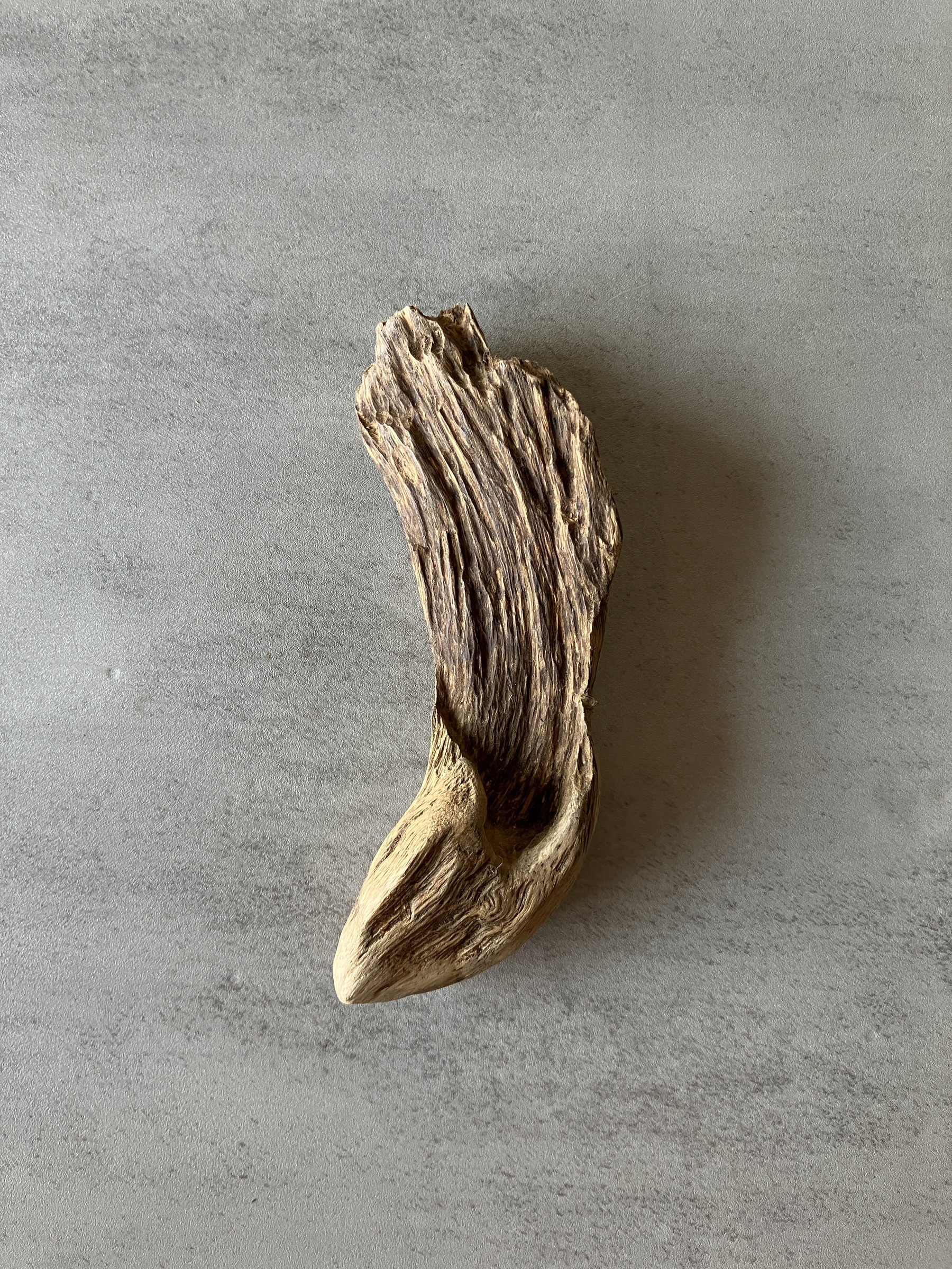 image_943D0599-1836-4EAB-BD95-04DA0E649E3C_1774335190