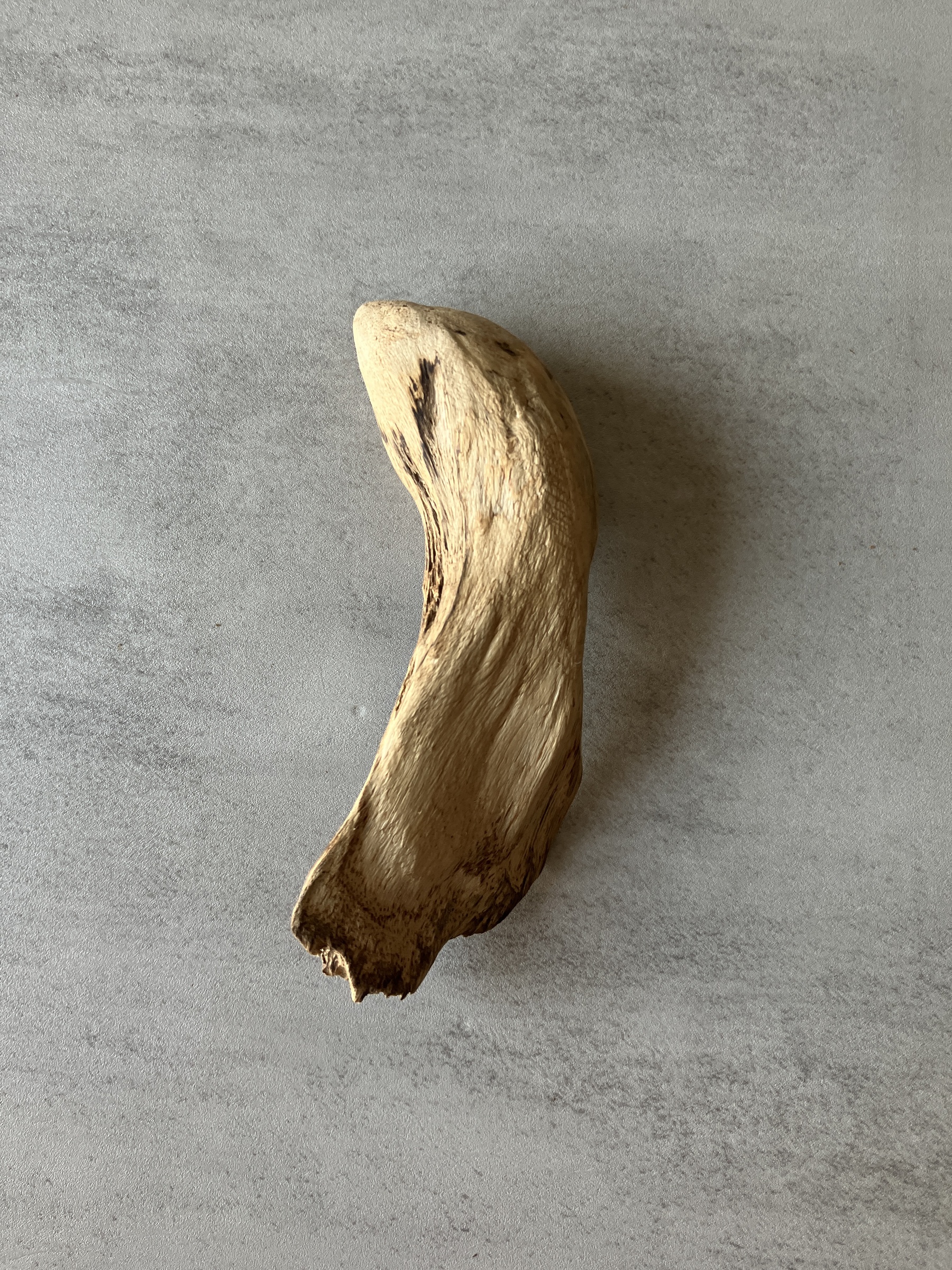 image_2521670F-2C7C-4676-872B-0FCD0B744AE6_1774335190