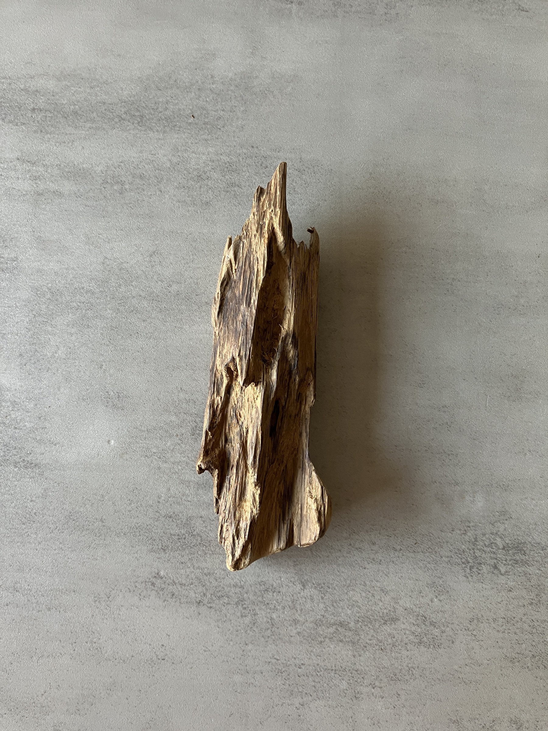 image_4CD2016A-0C5B-4ECE-A4A8-C89E30209297_1774335336