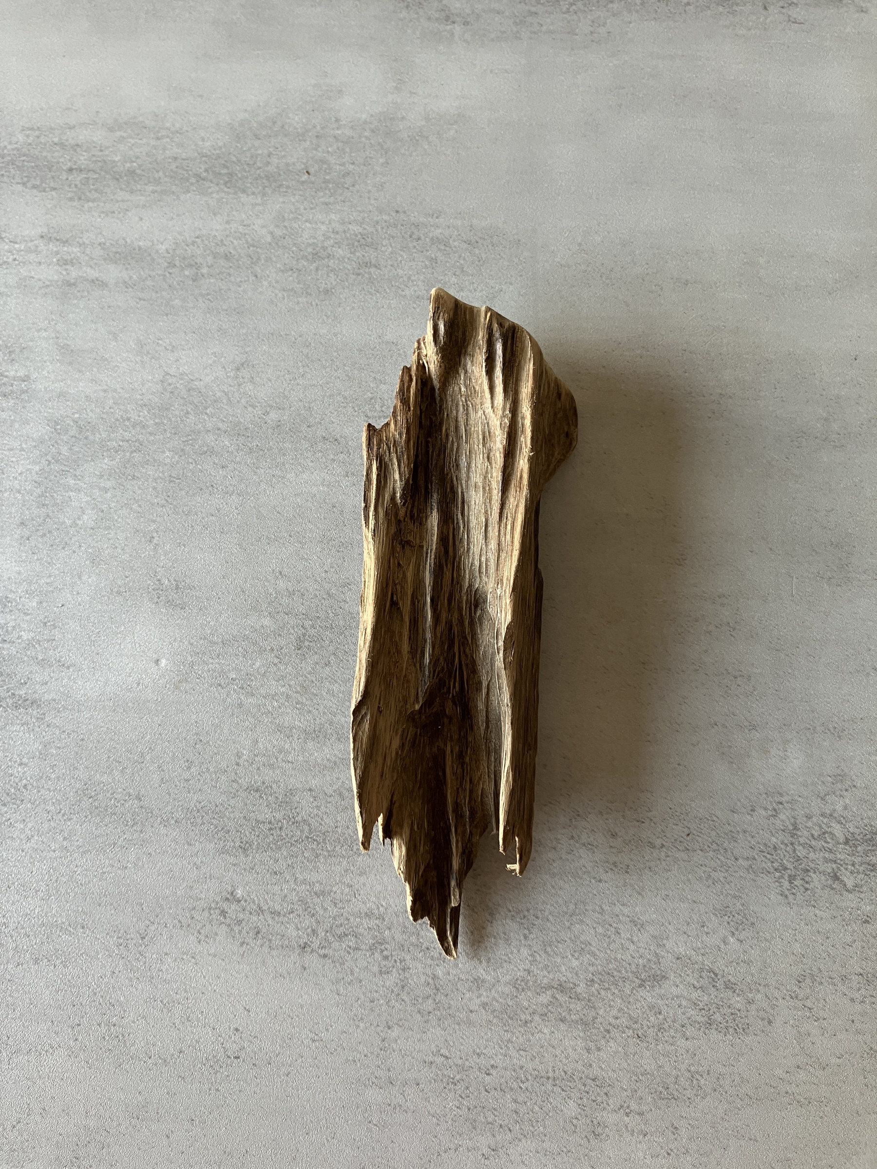 image_A1ED20DC-ABBC-48DE-80D7-468CF9FECAA1_1774335336