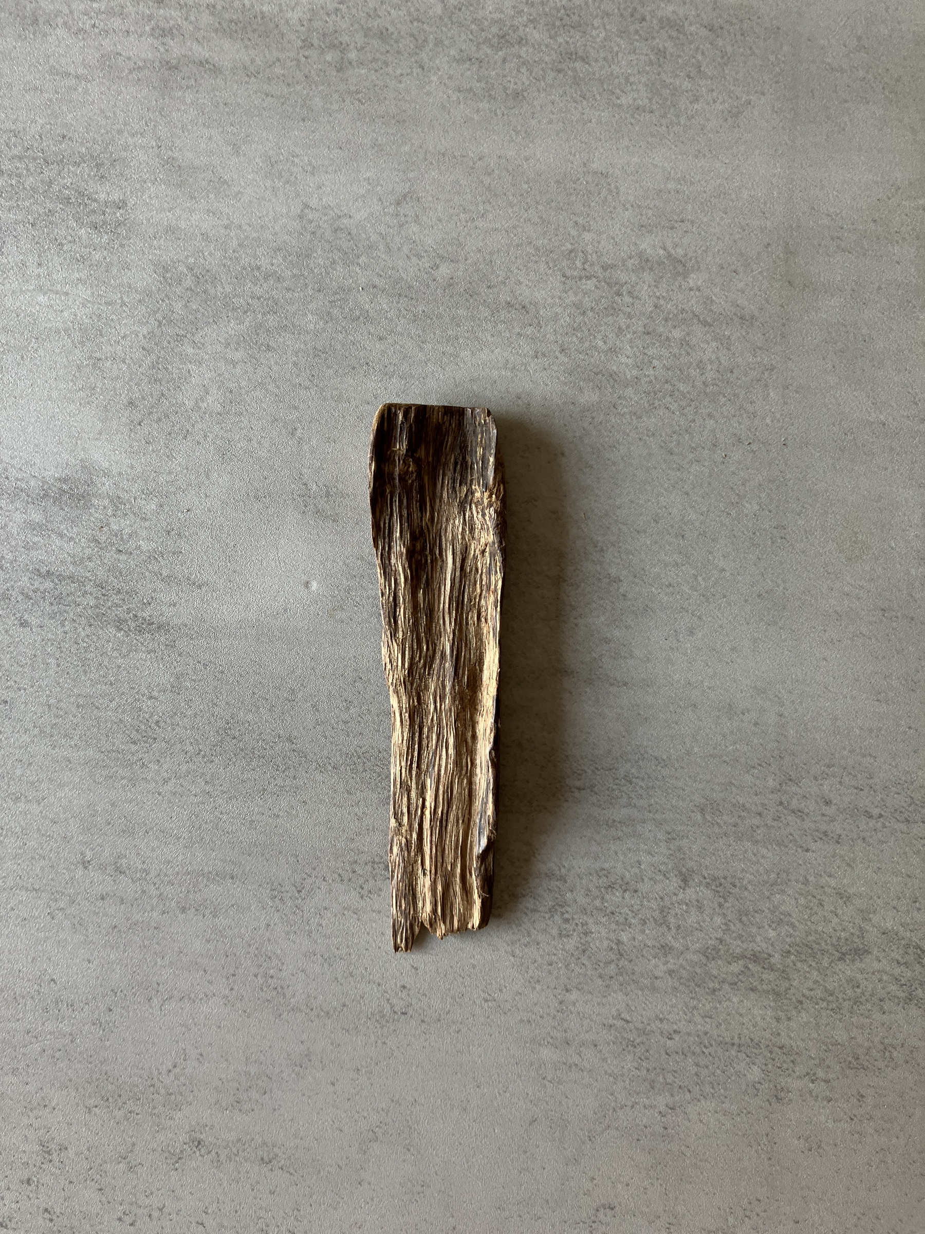 image_8011DB97-73C2-442C-B050-16F3F6919CA6_1774335482