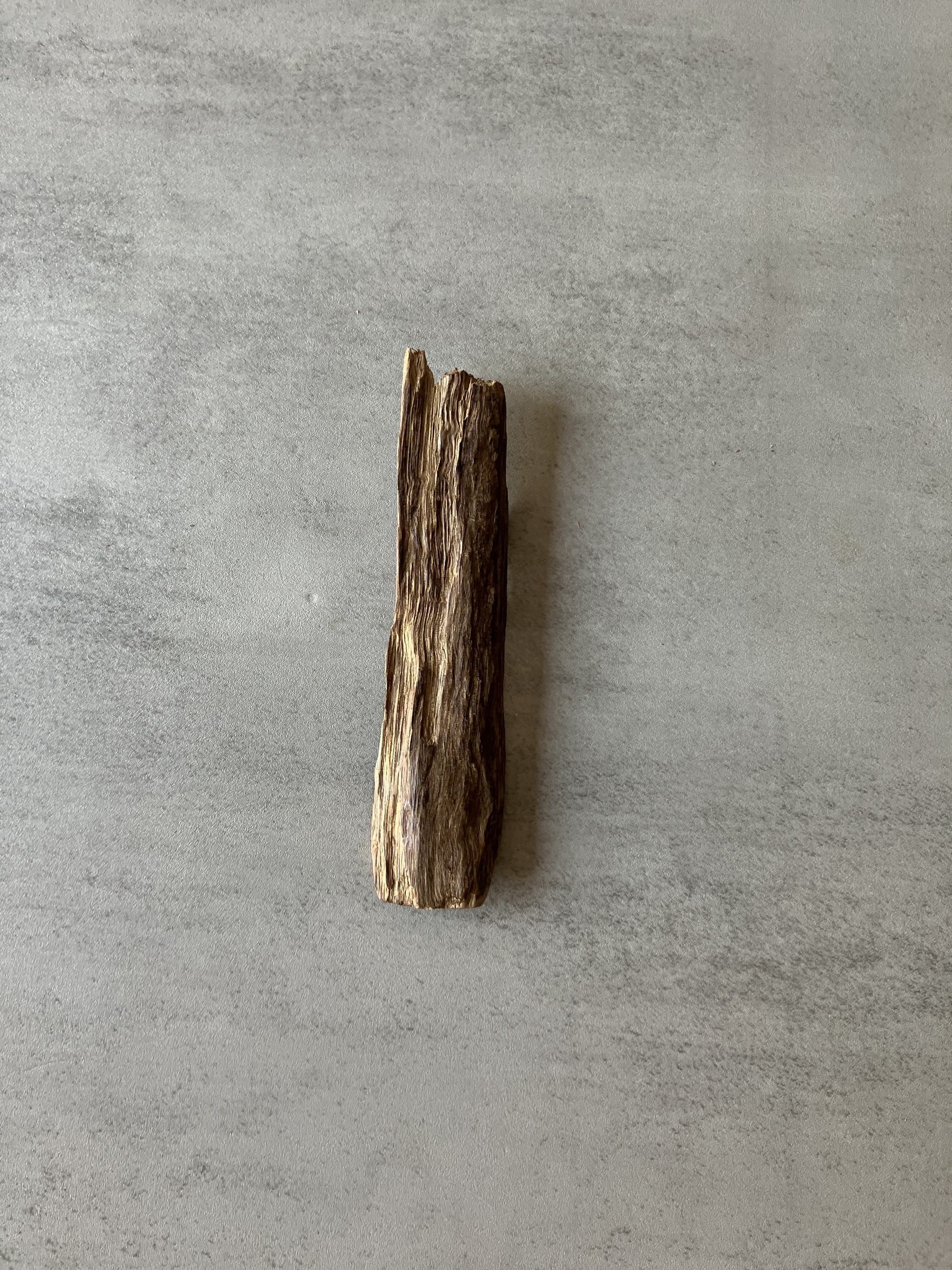 image_BE21A515-BA3F-46D5-923E-8F11EA1B4B3A_1774335482