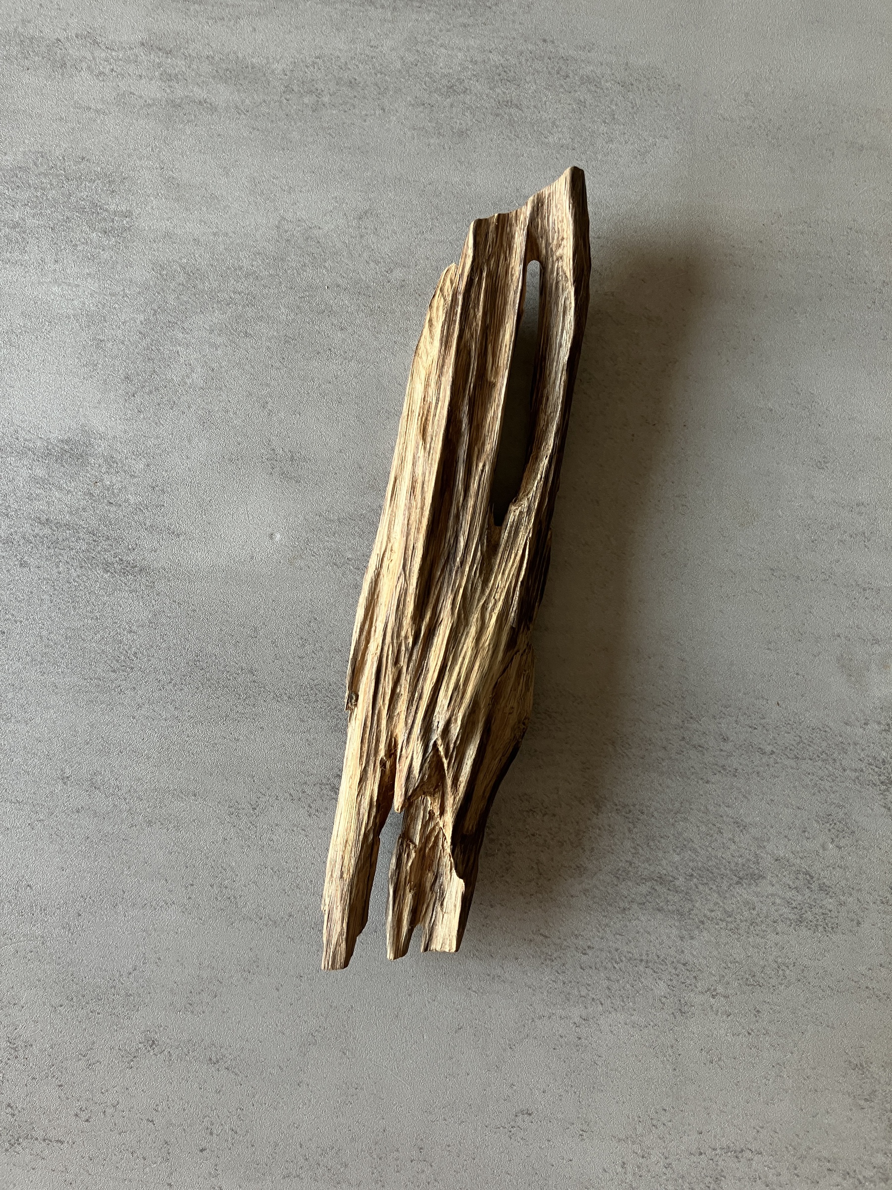 image_9F18F16E-4EE3-4407-8C4C-745C9C91A287_1774335626