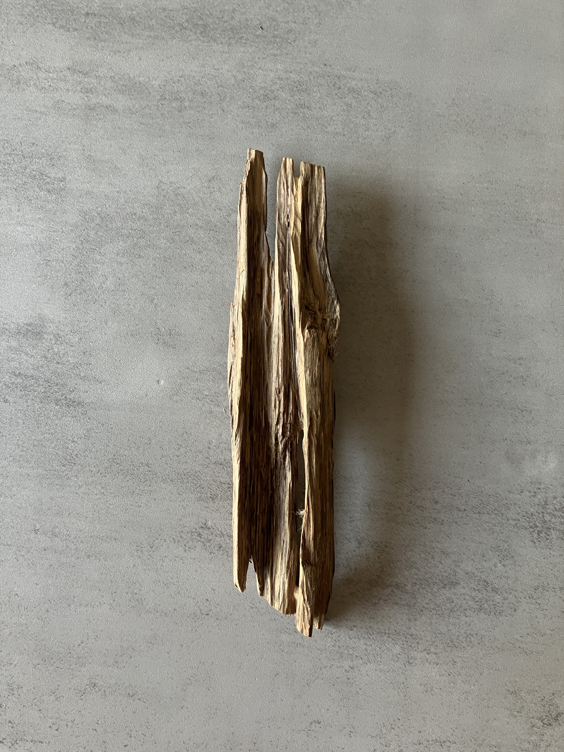 image_800A6495-6B21-411F-93B6-397DF3D44994_1774335626