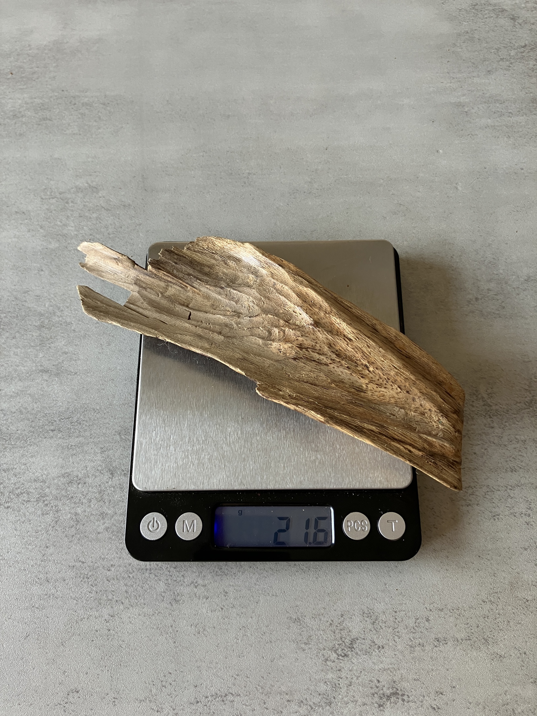 image_3BBD3DF4-7944-4391-9BF5-4F227748A6CC_1774335730