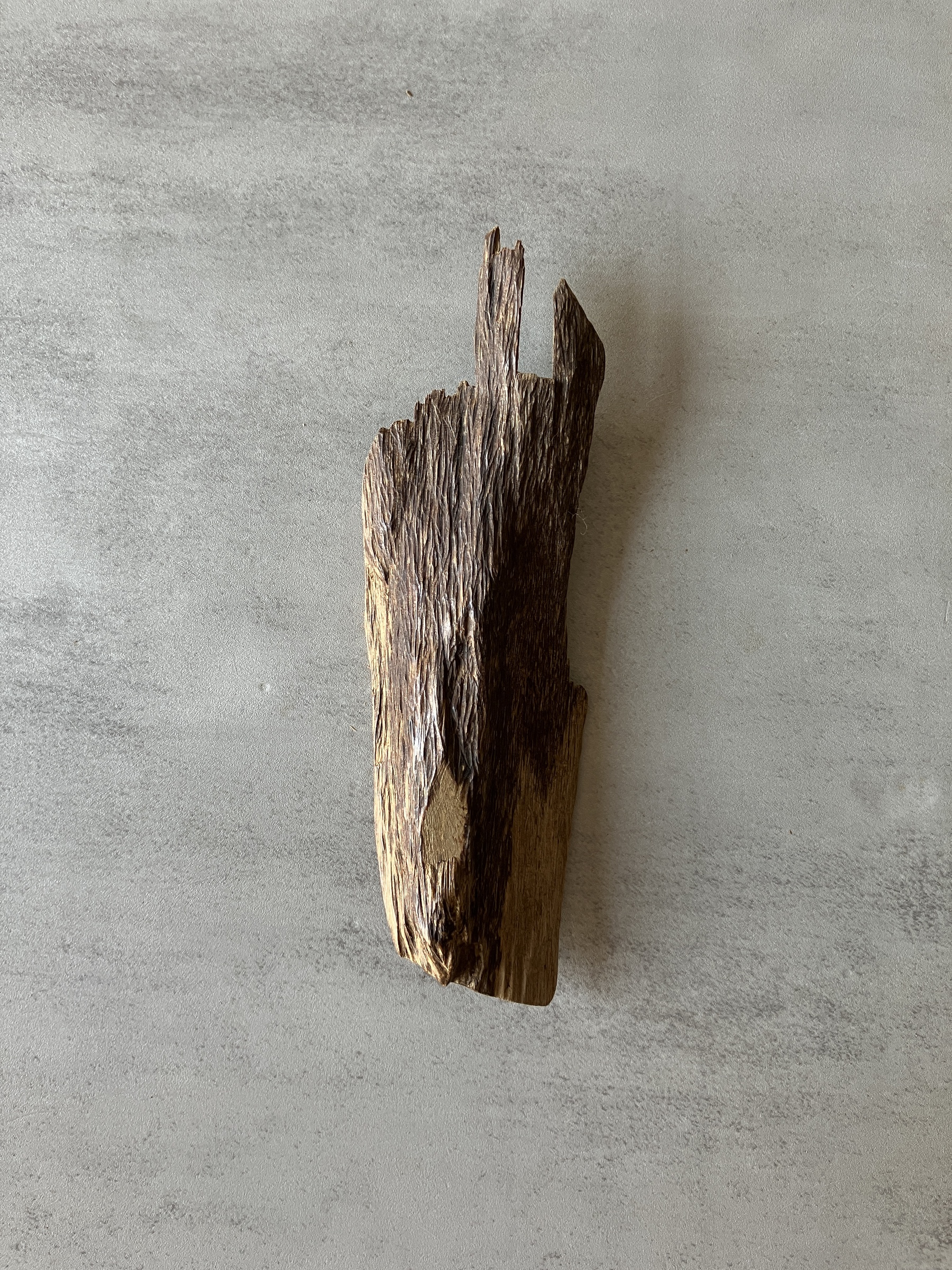 image_F72804AD-C4EF-44A0-9230-75422319DBDA_1774335730