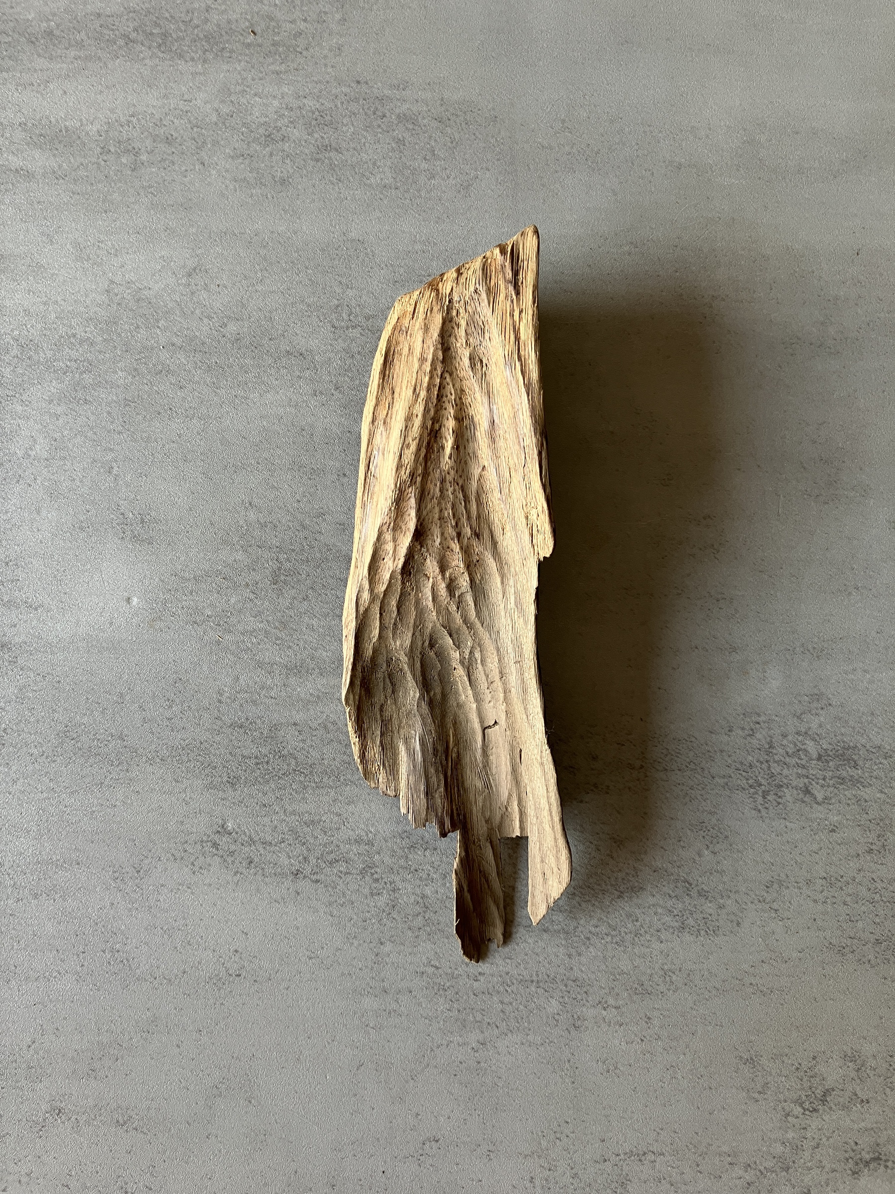 image_DEF9FFF6-A1A4-4F08-806B-6EB1272BDFB9_1774335730