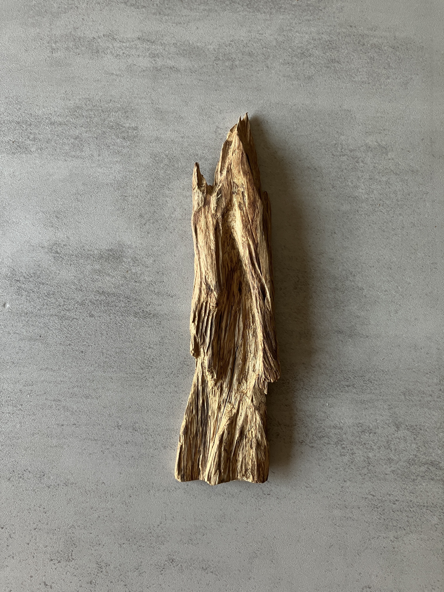 image_61BD6FB6-E379-4B13-BFFD-4C42CE5C8554_1774335858