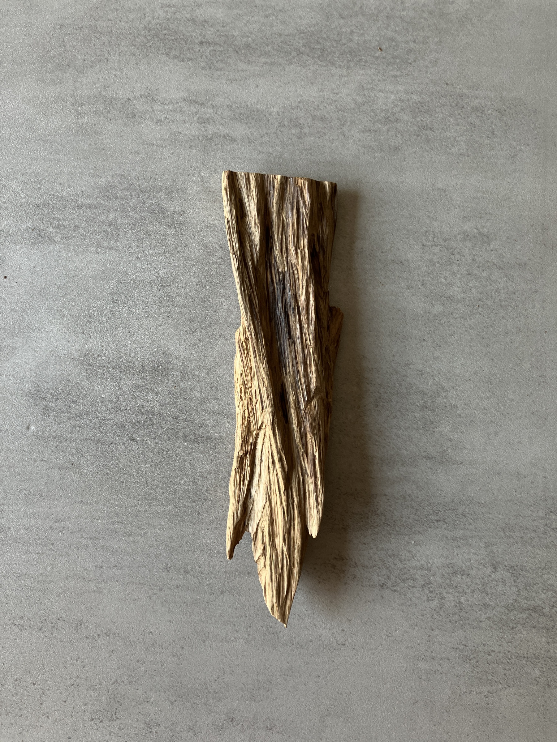 image_7776D4C5-75B5-48F2-8AE1-438384390164_1774335858