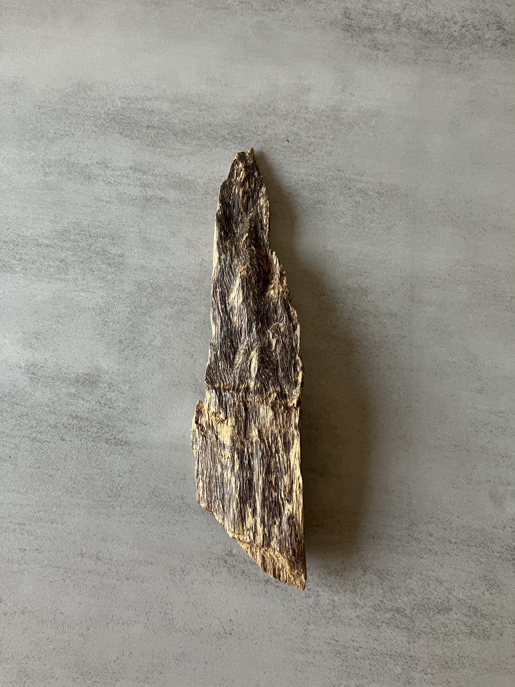 image_B3D8F2E0-021D-4E65-AACB-C11EE35C3D96_1774335952