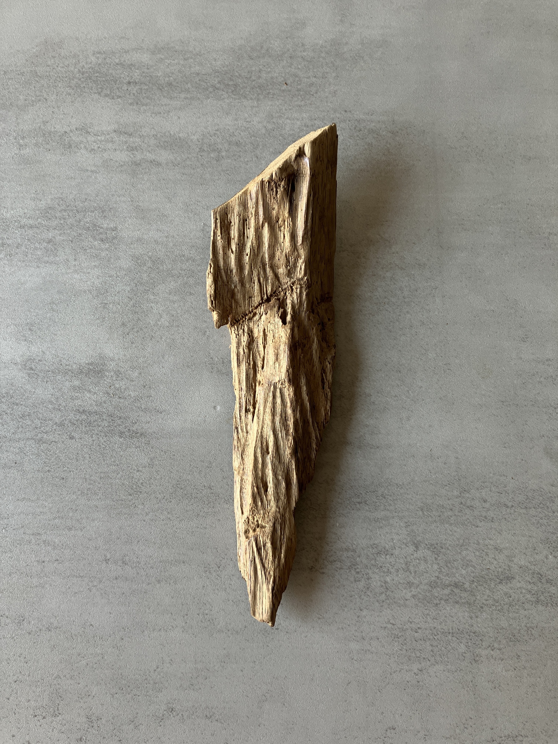 image_FCB2BAD2-FE21-4C3A-BC69-52B4D1E243A8_1774335952