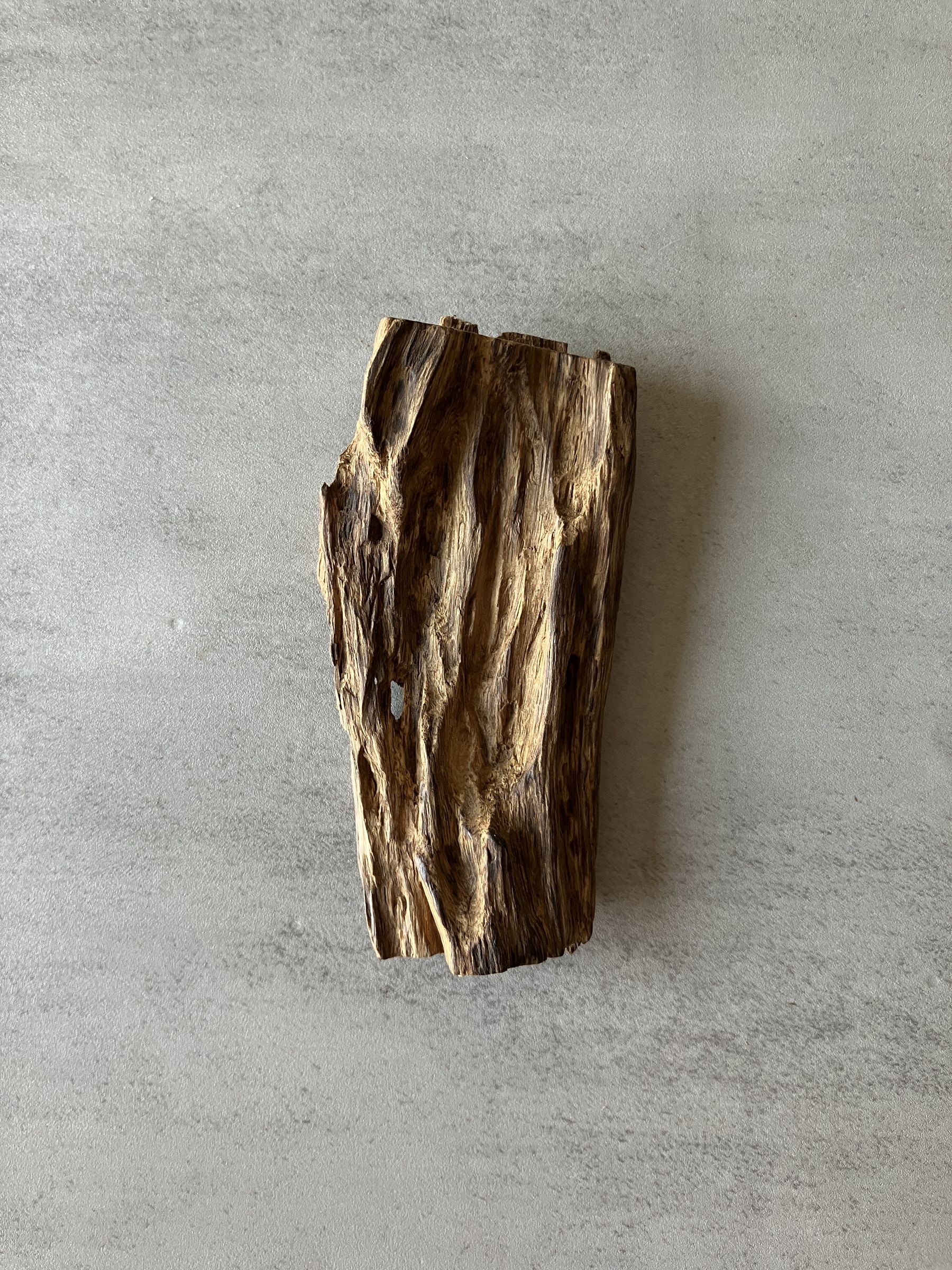 image_A655E2DC-4962-47B4-B438-FEAF44293988_1774336049