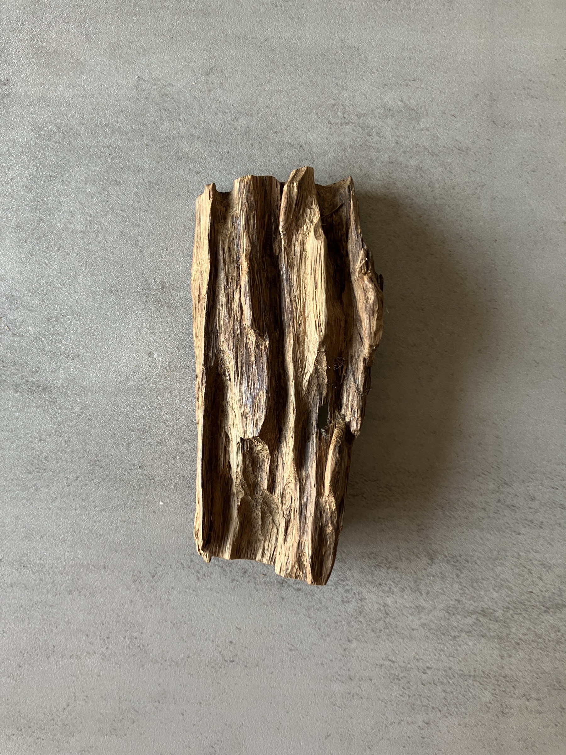 image_8B6C9347-94F3-45EE-861B-AB5D30D2CECB_1774336049