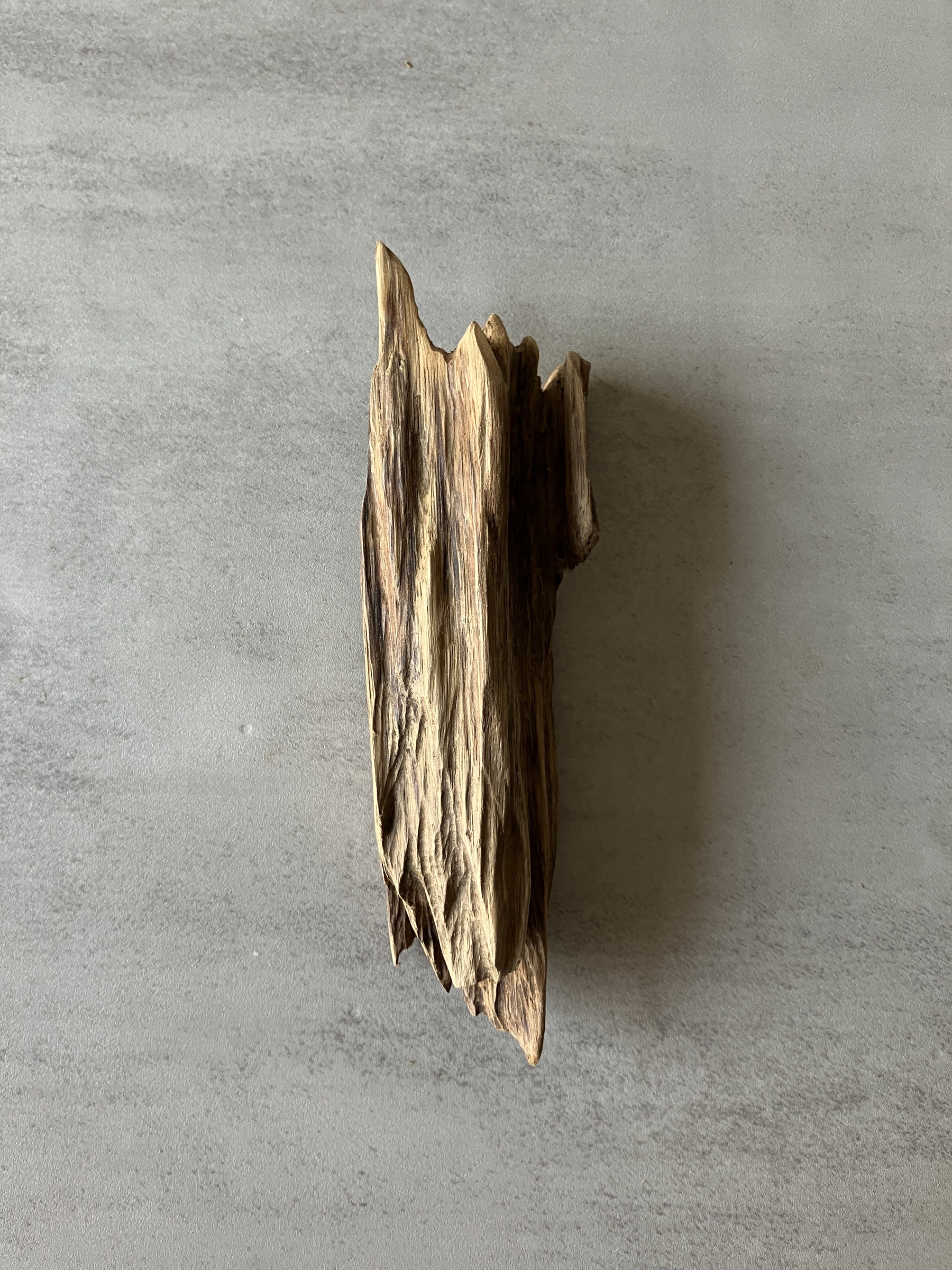 image_1FDEE7FE-2EFC-4660-B6EA-38606D548E02_1774336148