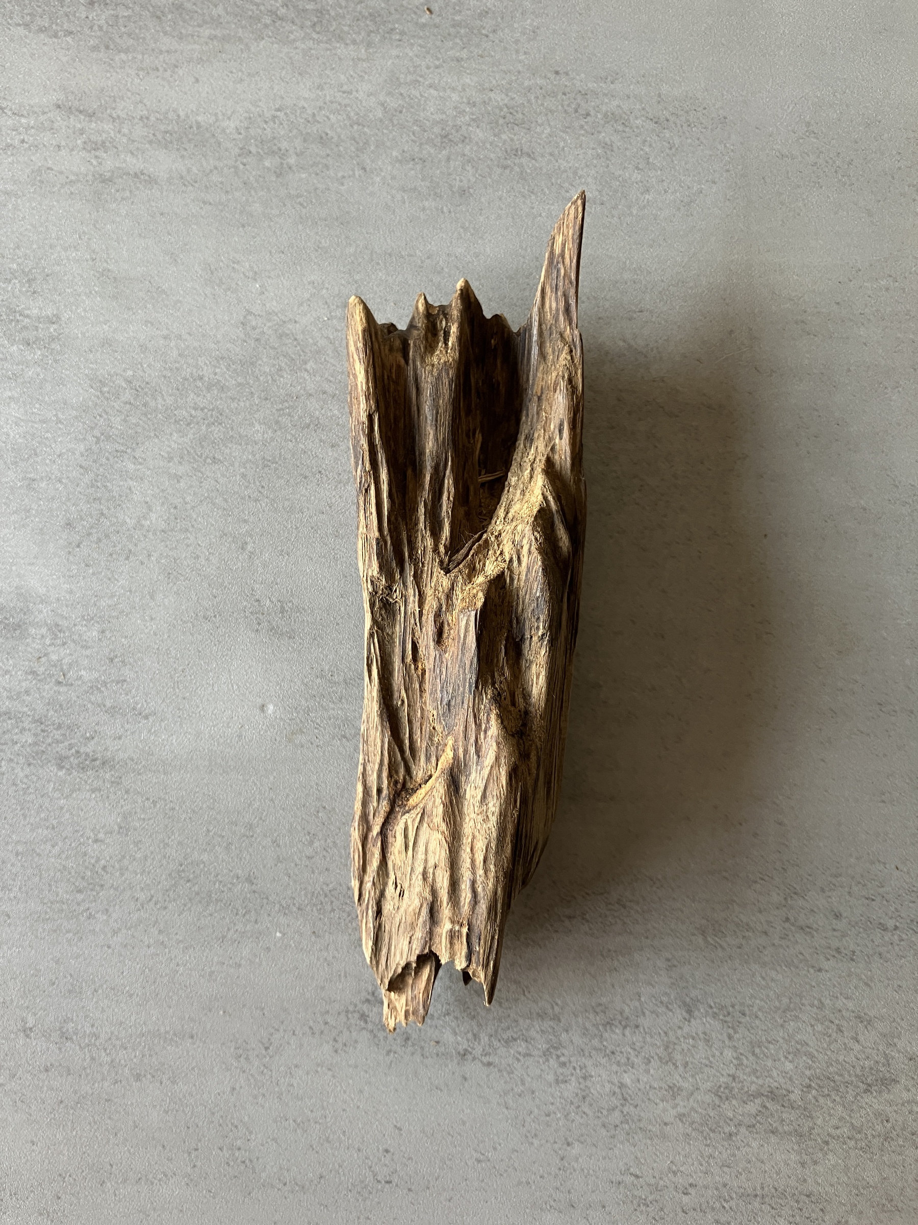 image_7867B5B2-41D2-4310-A58F-C1C34E1F30F0_1774336148