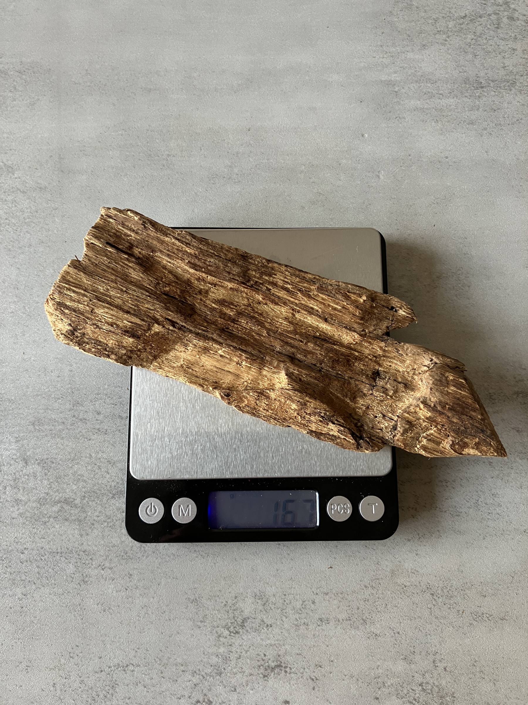 image_6D2E0F30-81E0-421B-A985-9EA8AC42414C_1774336478