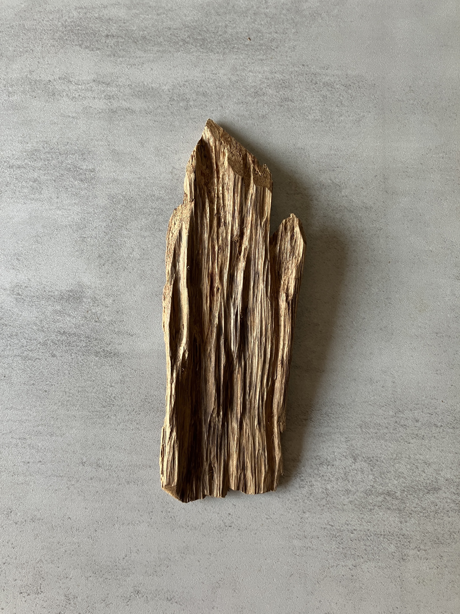 image_34522BEB-702D-49D2-9B2C-24427830CDCB_1774336478