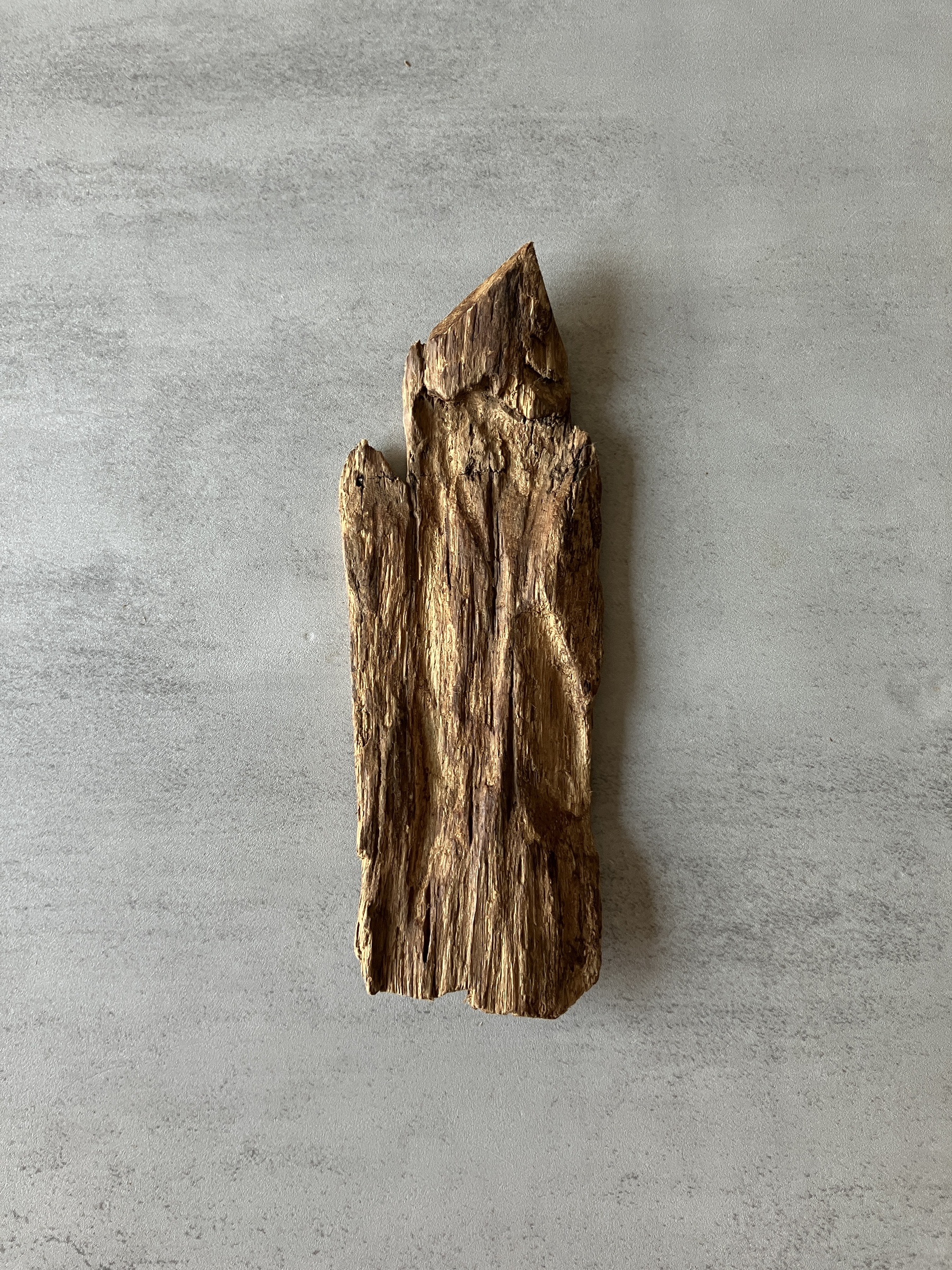 image_F03A00DD-F16C-4AA6-9242-BC464F0607E5_1774336478