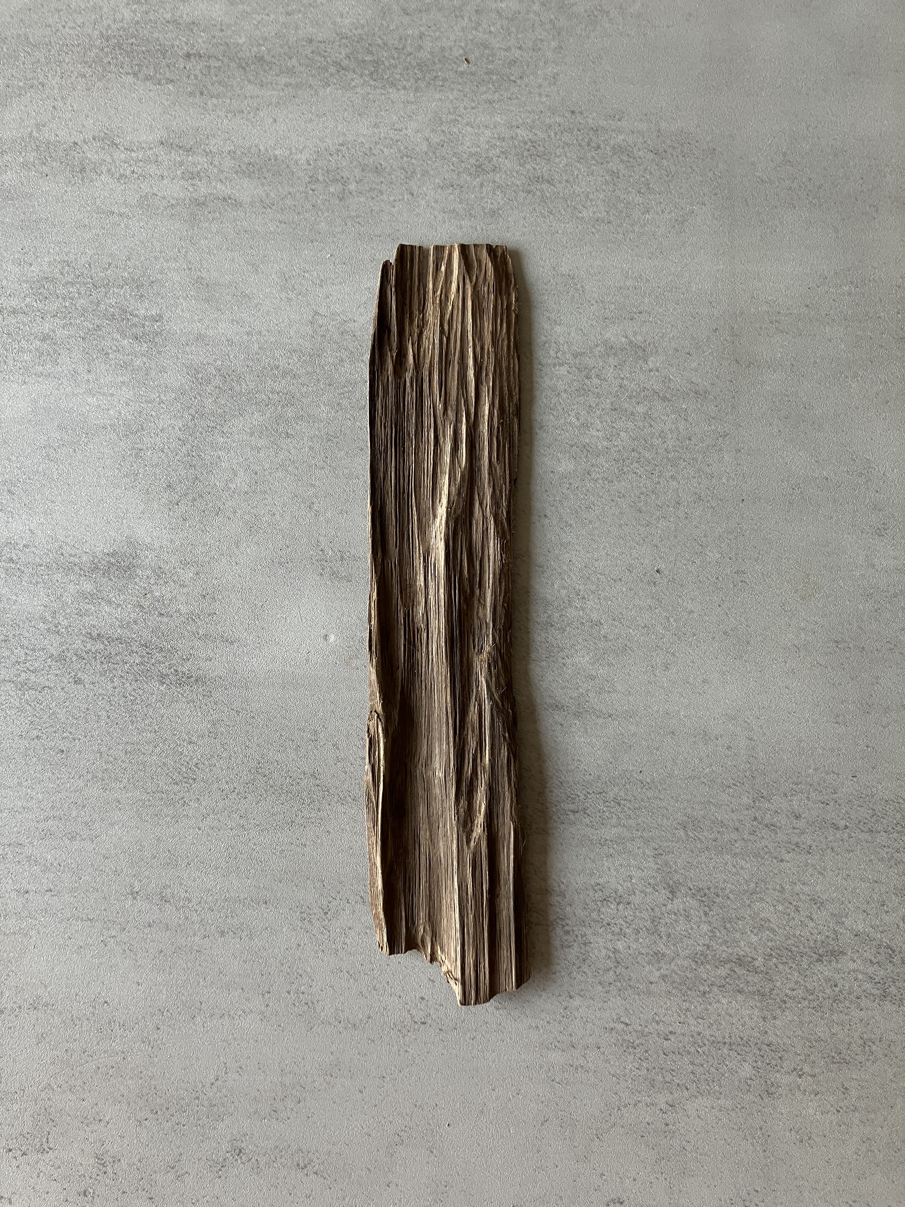 image_1998F893-0491-4567-AF0C-DF0E59F10F7A_1774336605