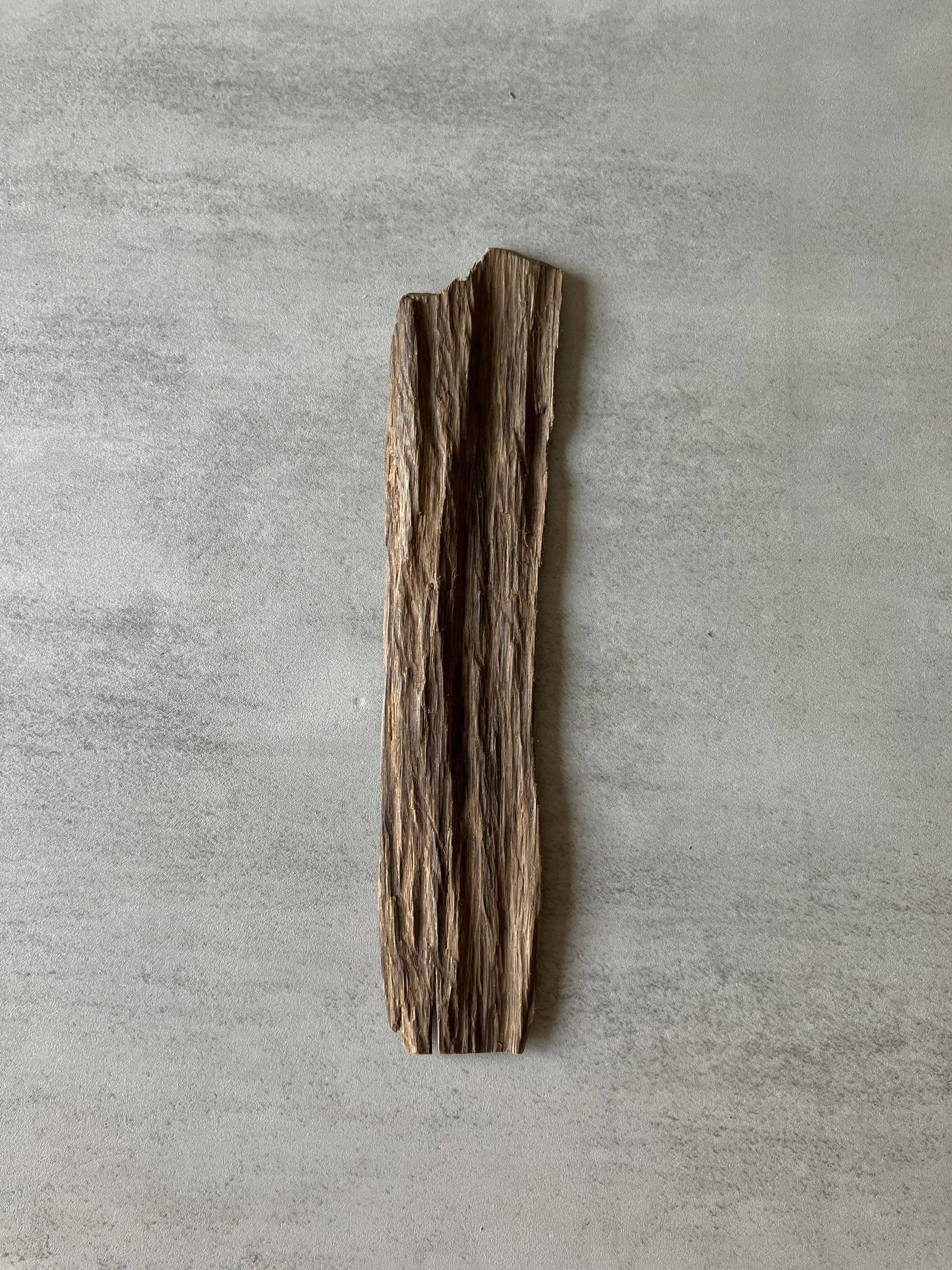 image_BCF26688-1E38-4C34-8360-3FCB94E40BE6_1774336605