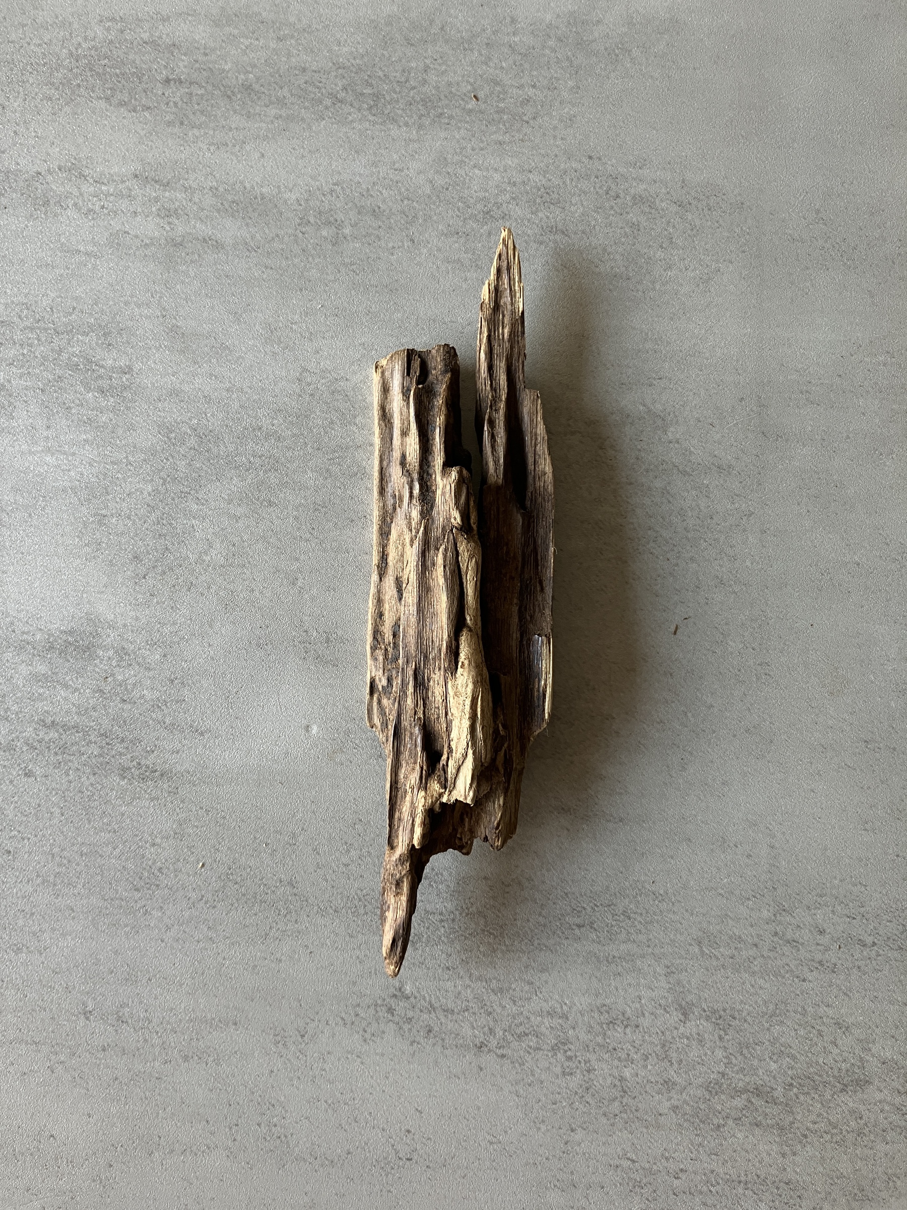 image_9C495E5E-6FAA-43CB-ABD5-01C461A893B1_1774336812