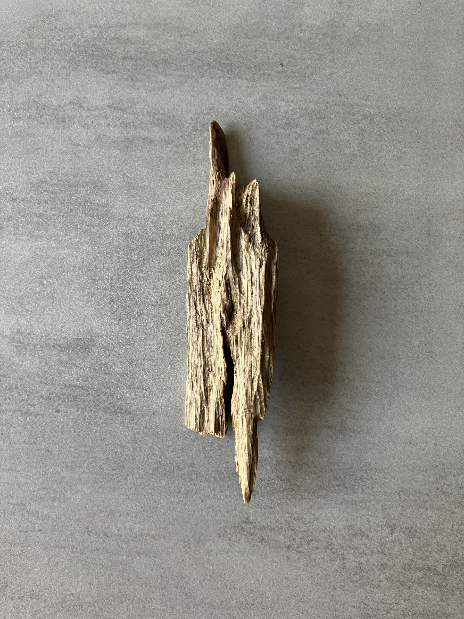 image_85108BD2-A986-41B1-A948-A983C8567FEF_1774336812