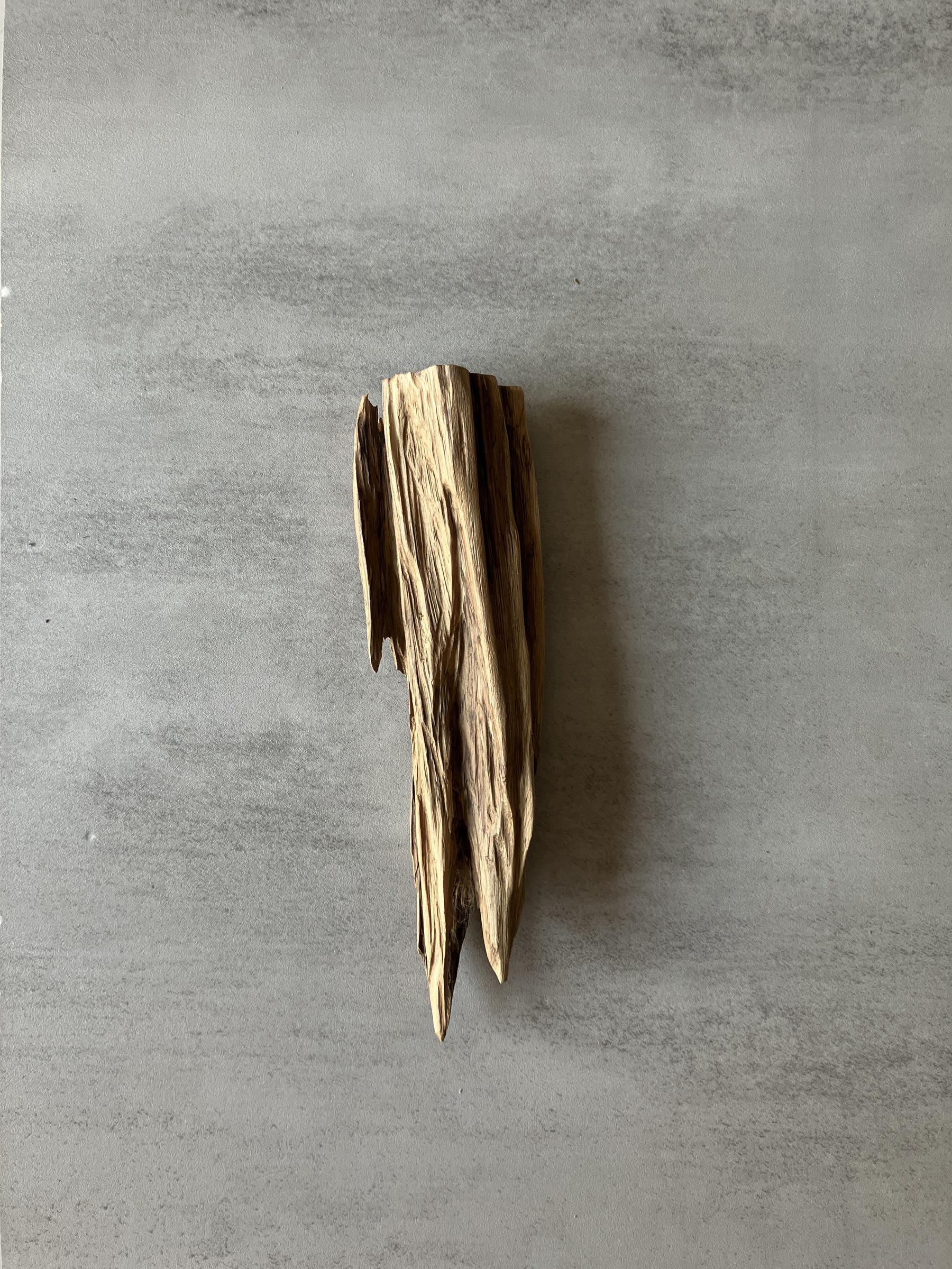 image_834BD2FE-EA37-4084-93E5-D16651070175_1774336947