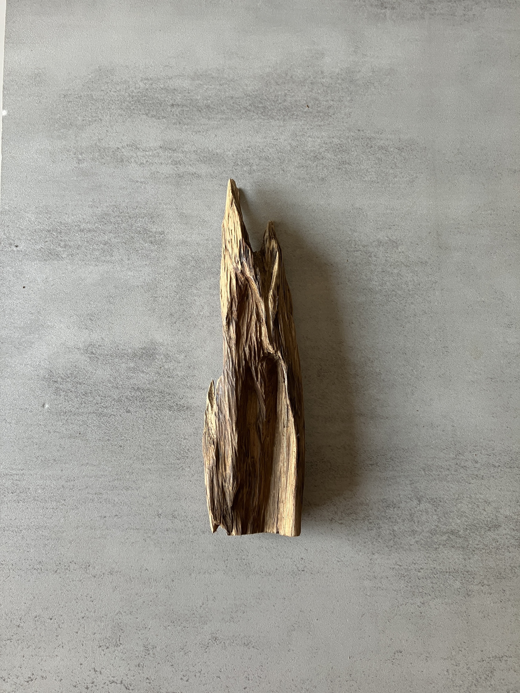 image_53B5F0AA-F3E9-4D21-AF37-4B46A4010E18_1774336947