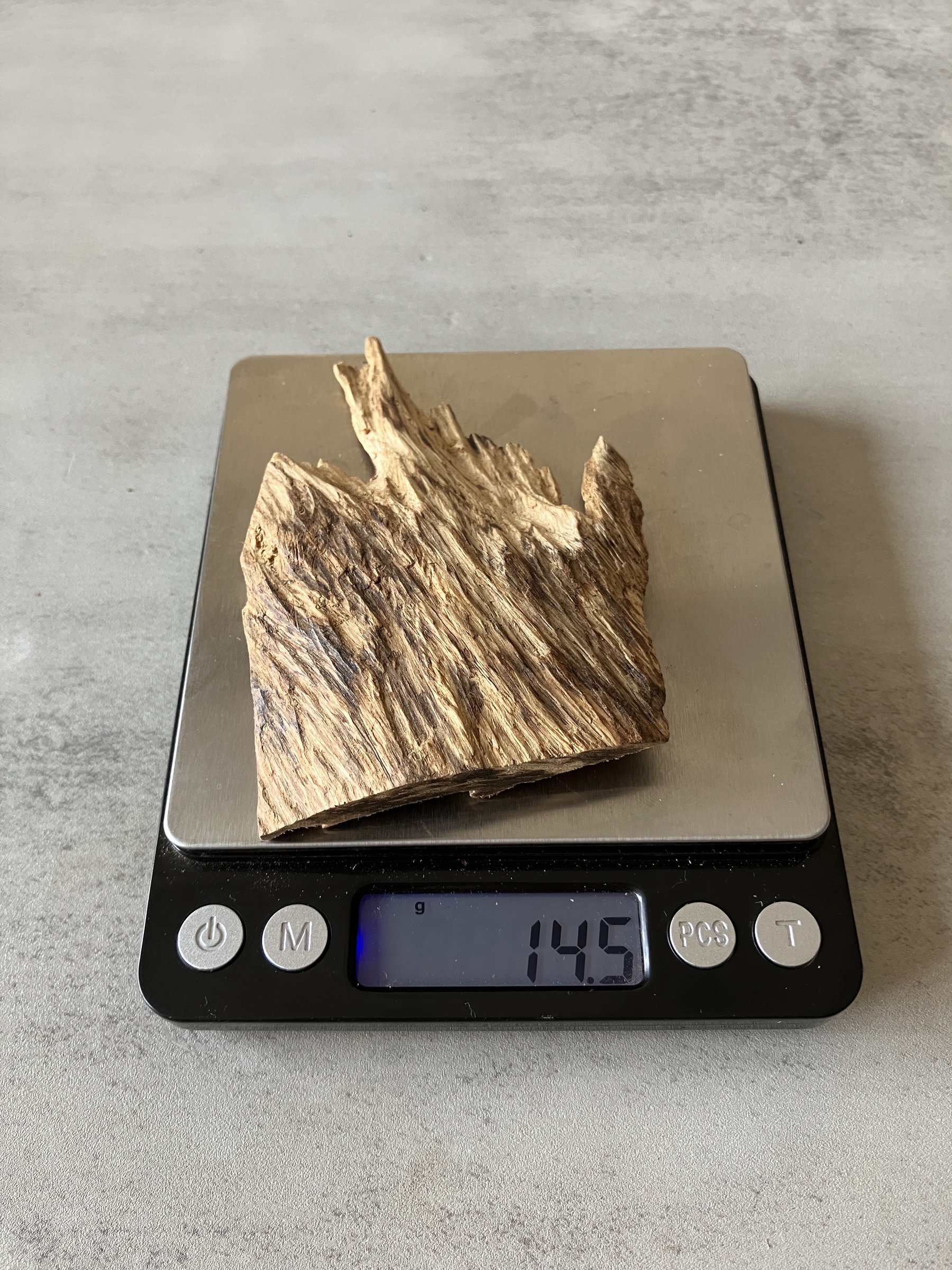 image_BA9EF1DE-FBBB-44FF-8CD1-777DA8D5B76A_1774337103