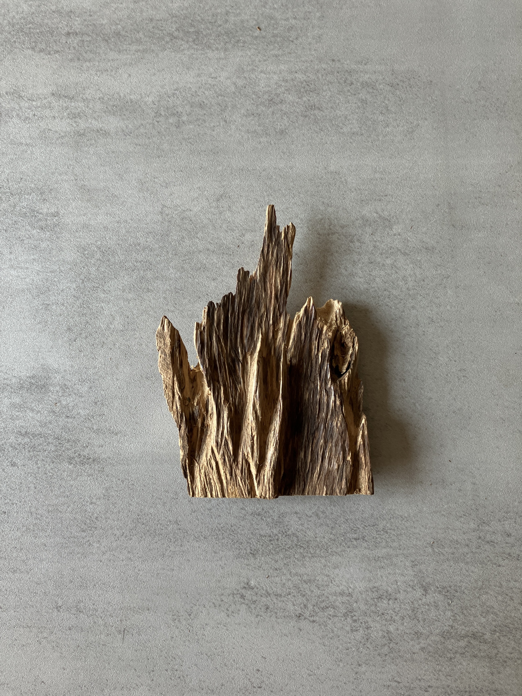 image_595A26E1-60DD-43F1-93D8-22F38865DD34_1774337103