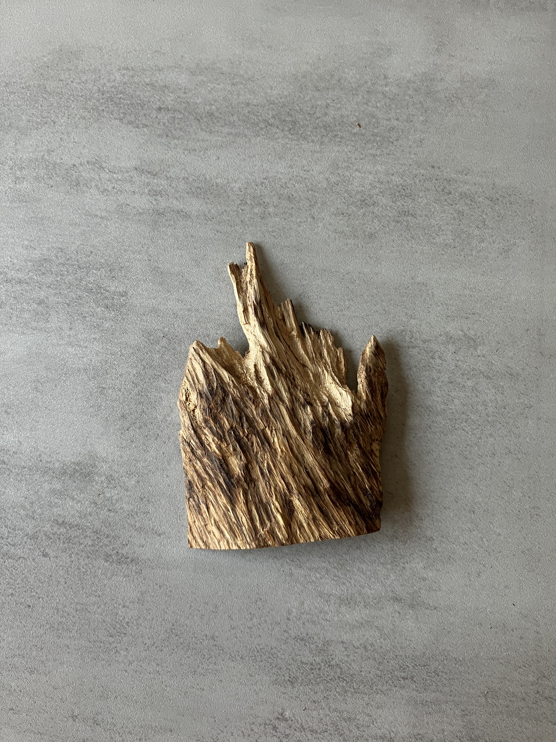 image_441AD9D8-F7EA-4583-969F-6647C0A98734_1774337103