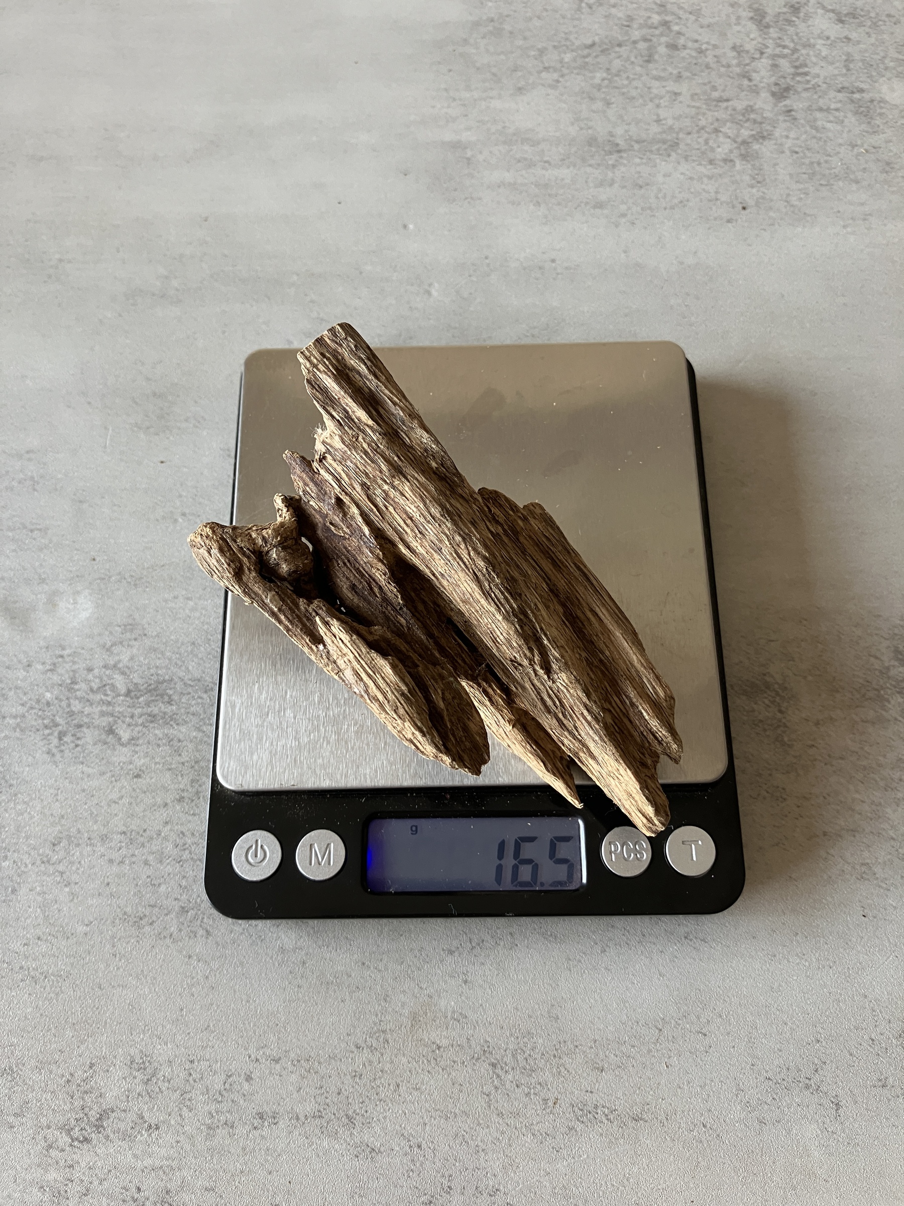 image_86809549-8F3A-4E32-9B81-99C441C18587_1774337181