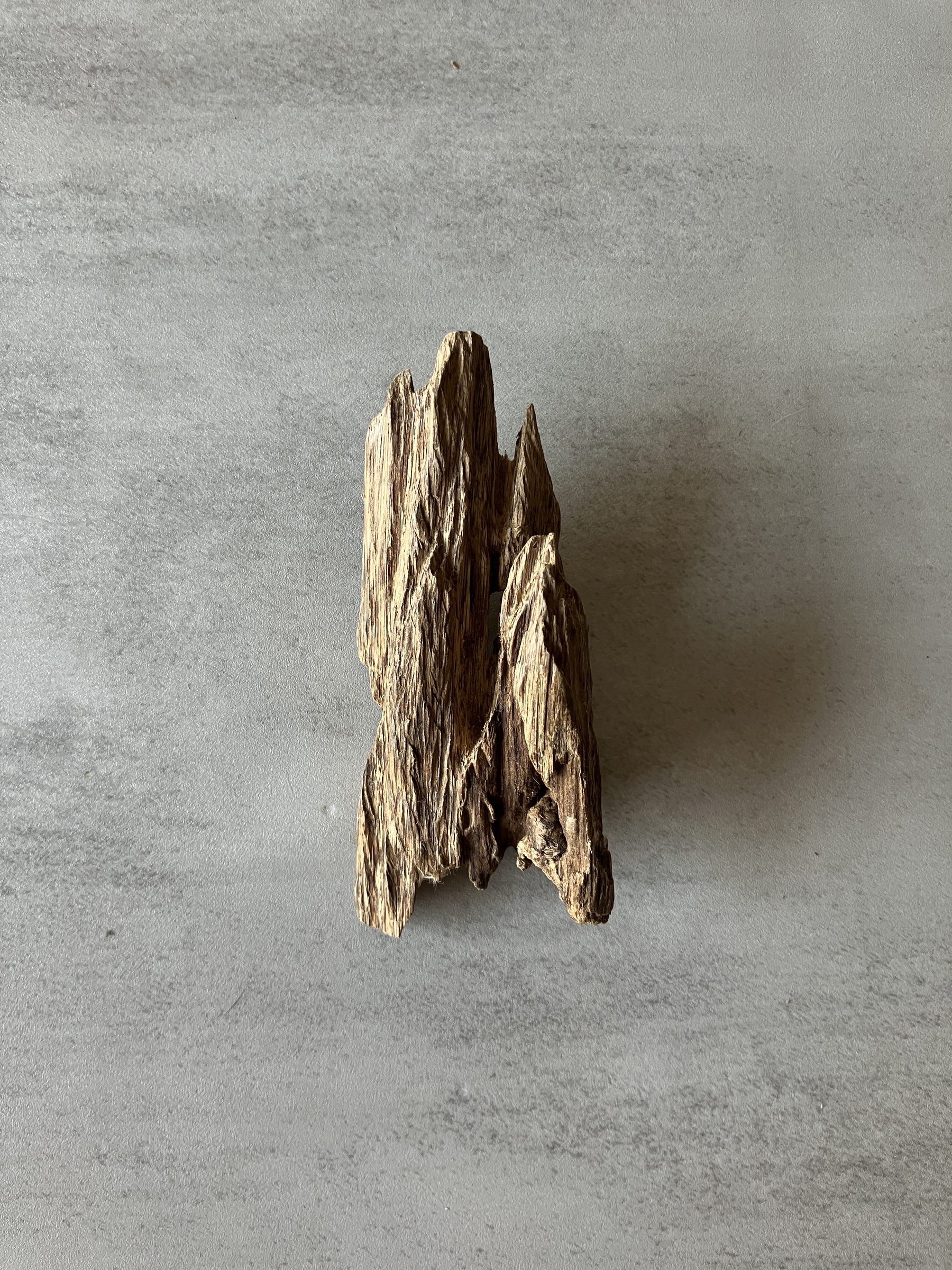 image_4E3978AB-9D27-4DEC-A5D3-D2EE5273B195_1774337181