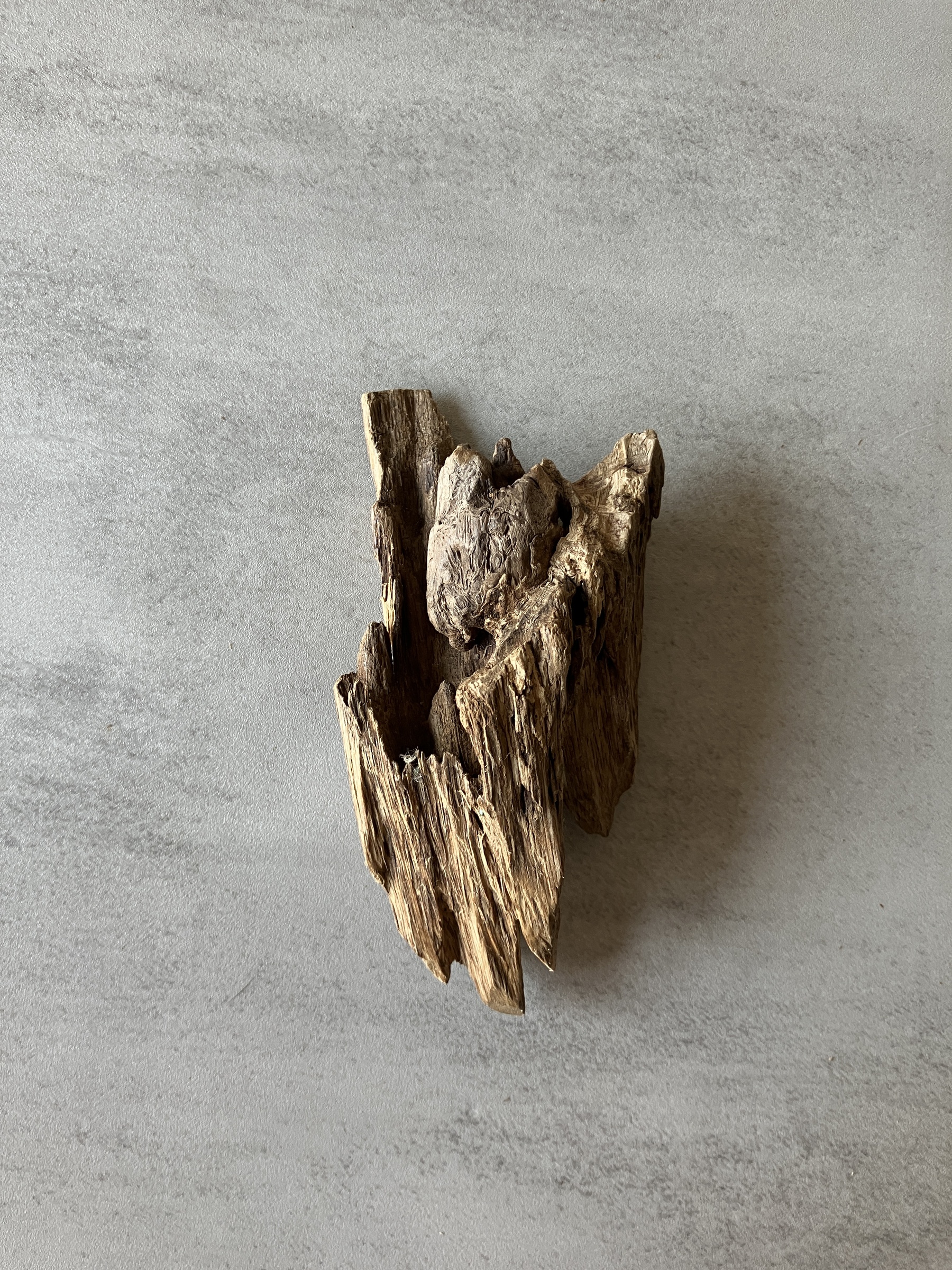 image_BCE6E14A-B792-4E9E-9250-02DBA19A0D53_1774337181