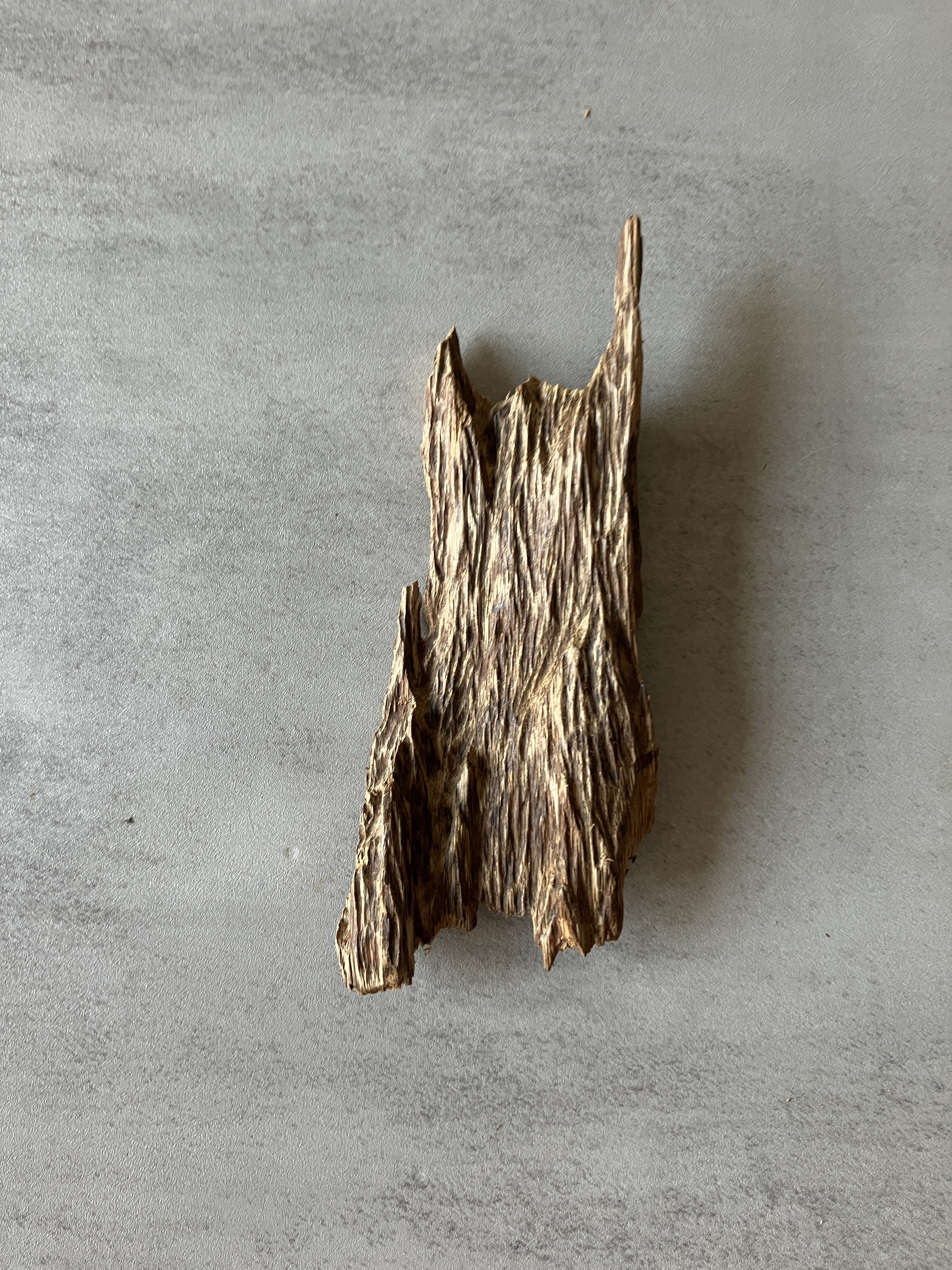 image_0417A346-C717-4EE7-90FC-391E0765AC79_1774337259