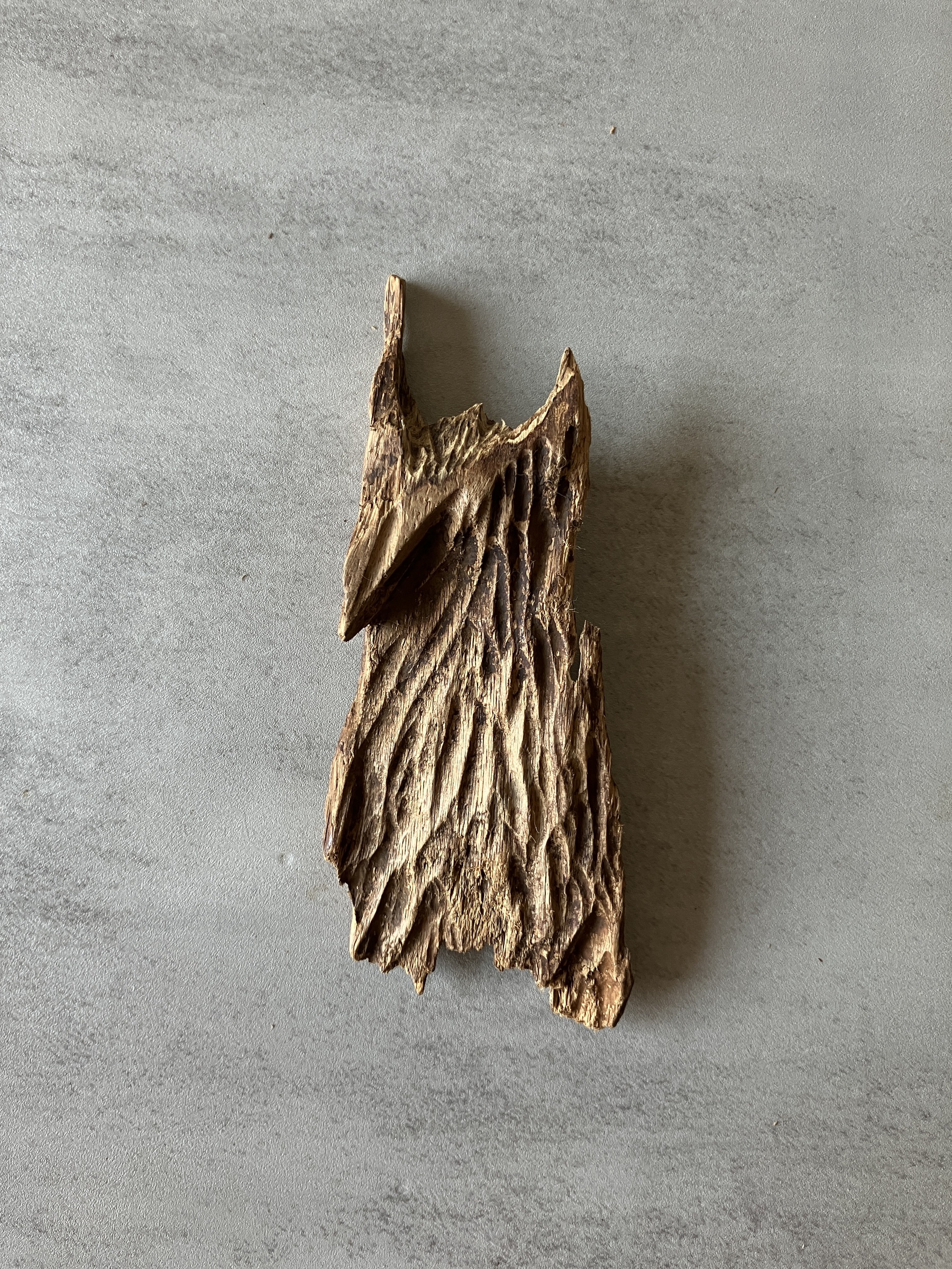 image_A6915C6A-EE16-45DE-9CC6-31EDC9AA1D46_1774337259