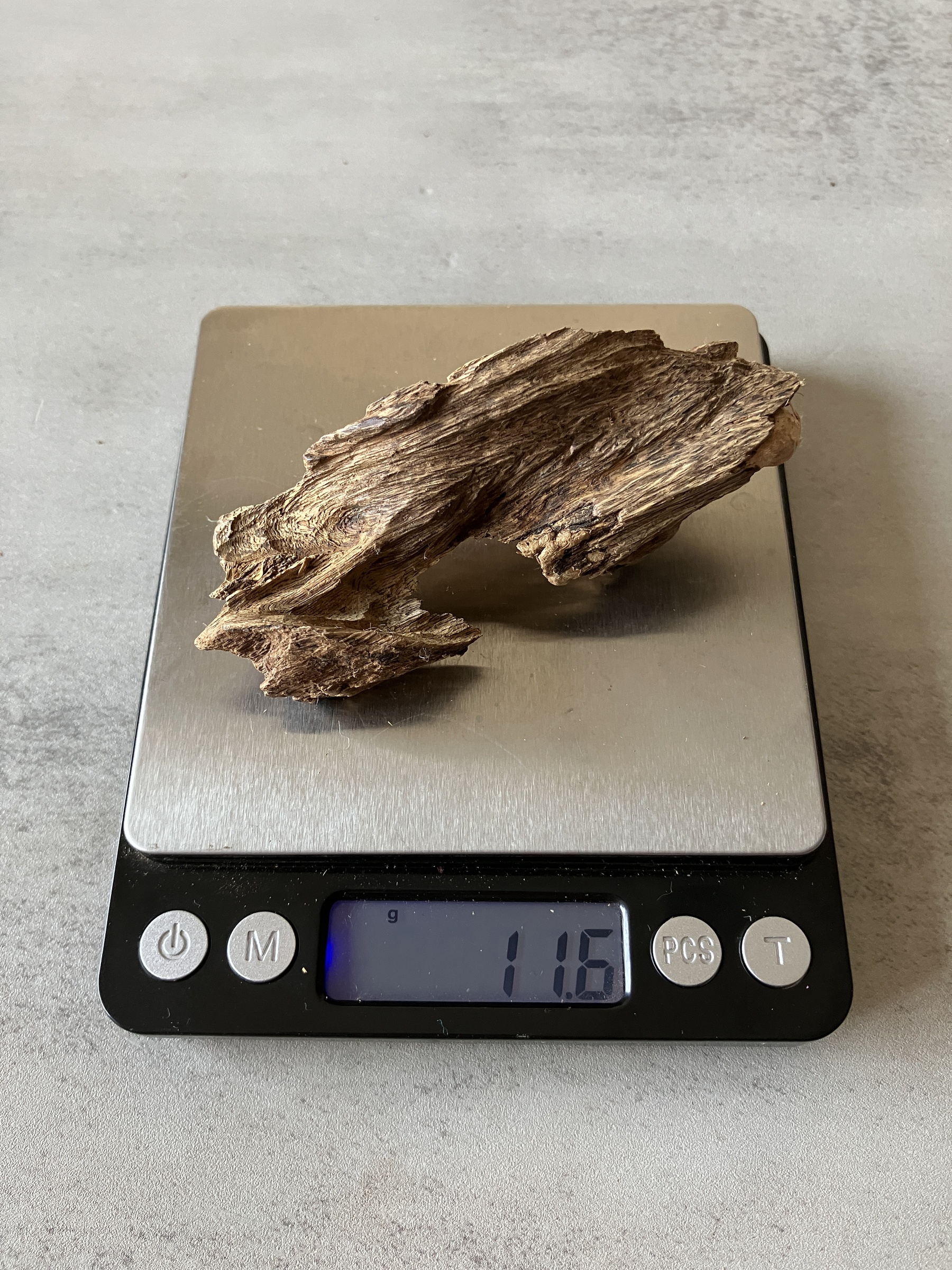 image_AD99D32C-C580-4EFD-AF98-77DFF0FC1163_1774337416