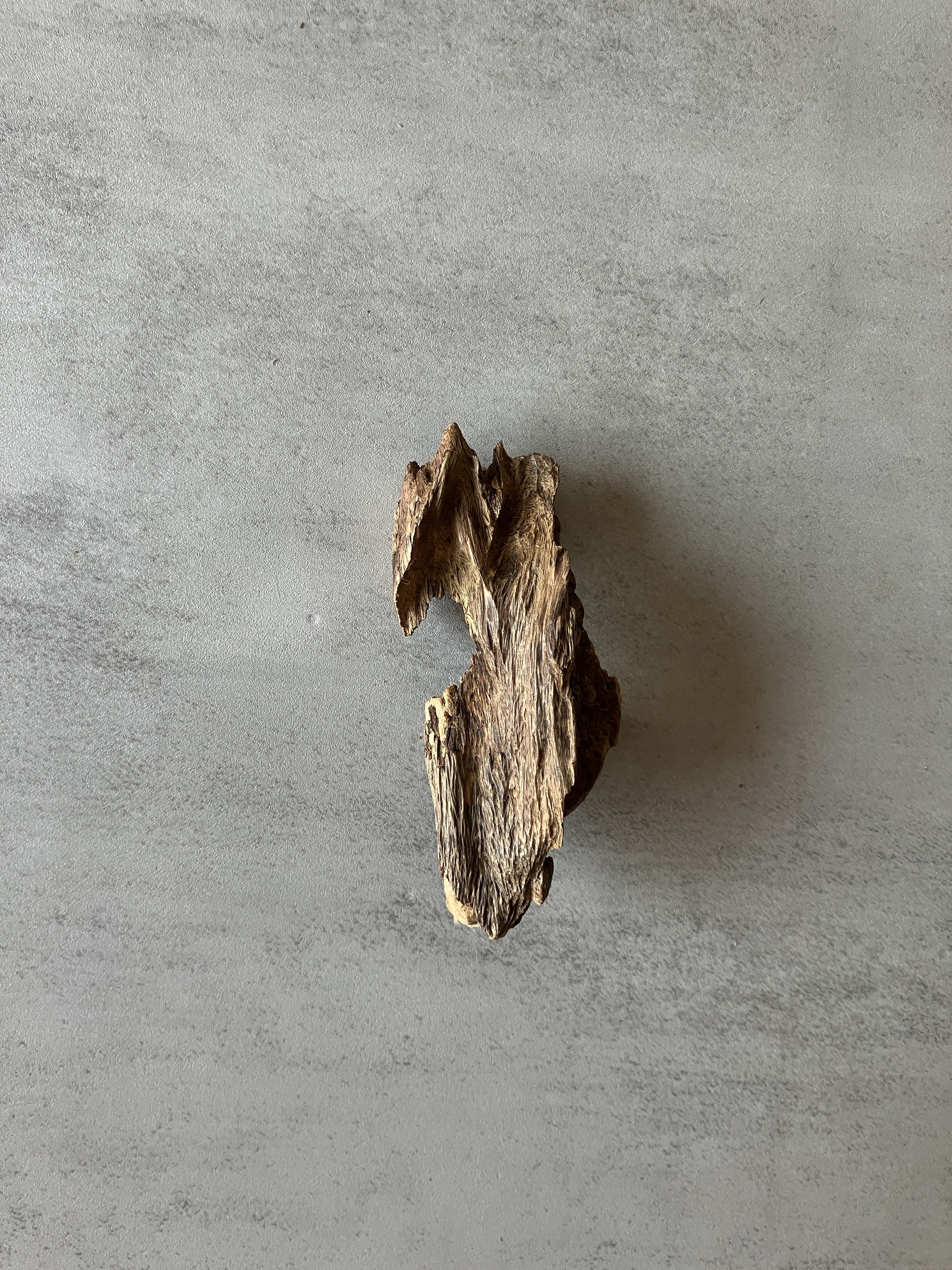 image_132F3E09-E323-4F69-9165-D0378CA2BA7C_1774337416