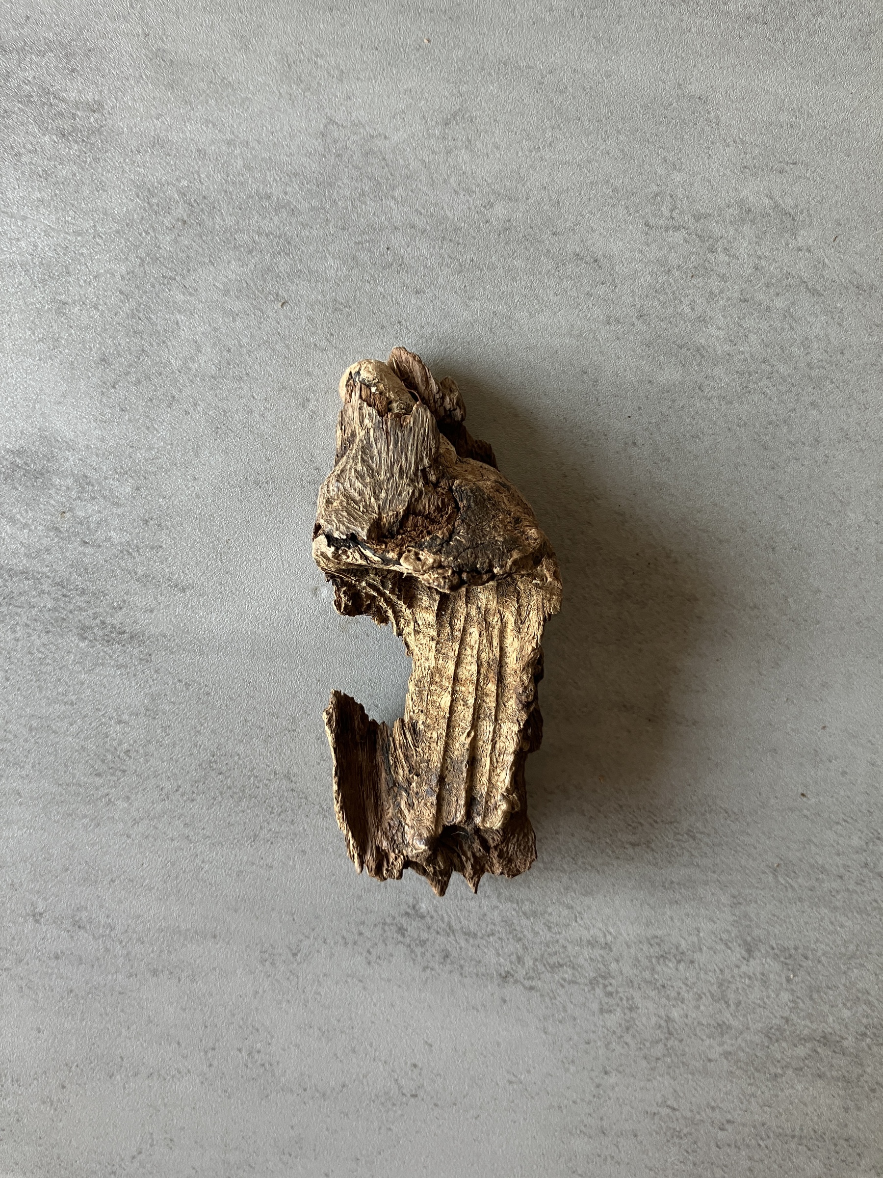 image_9FEF606D-8E20-4C69-928E-5728660B0383_1774337416