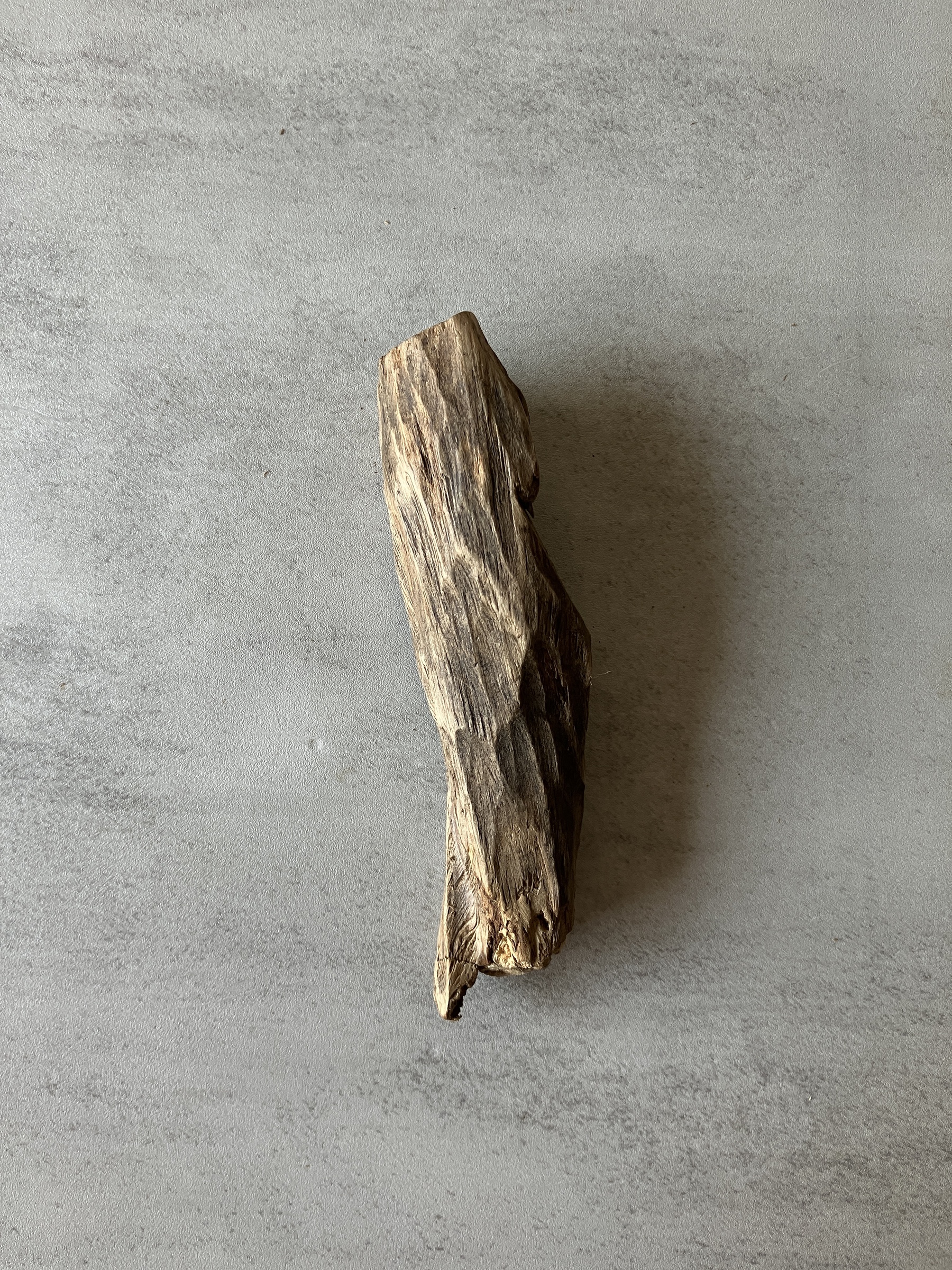 image_BD3CC461-BF1E-4A2B-9E3F-8A33CDD1FD5D_1774337674