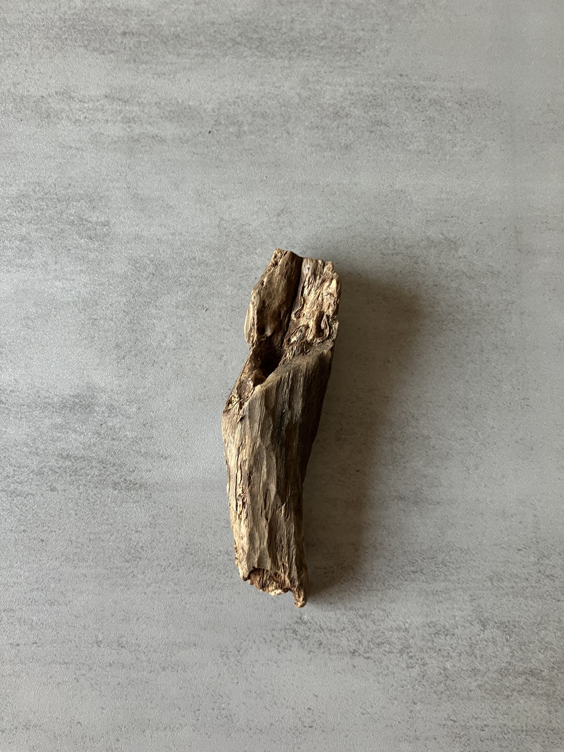 image_54A64147-43F8-4E03-A7F5-0EC7B68B2B98_1774337674